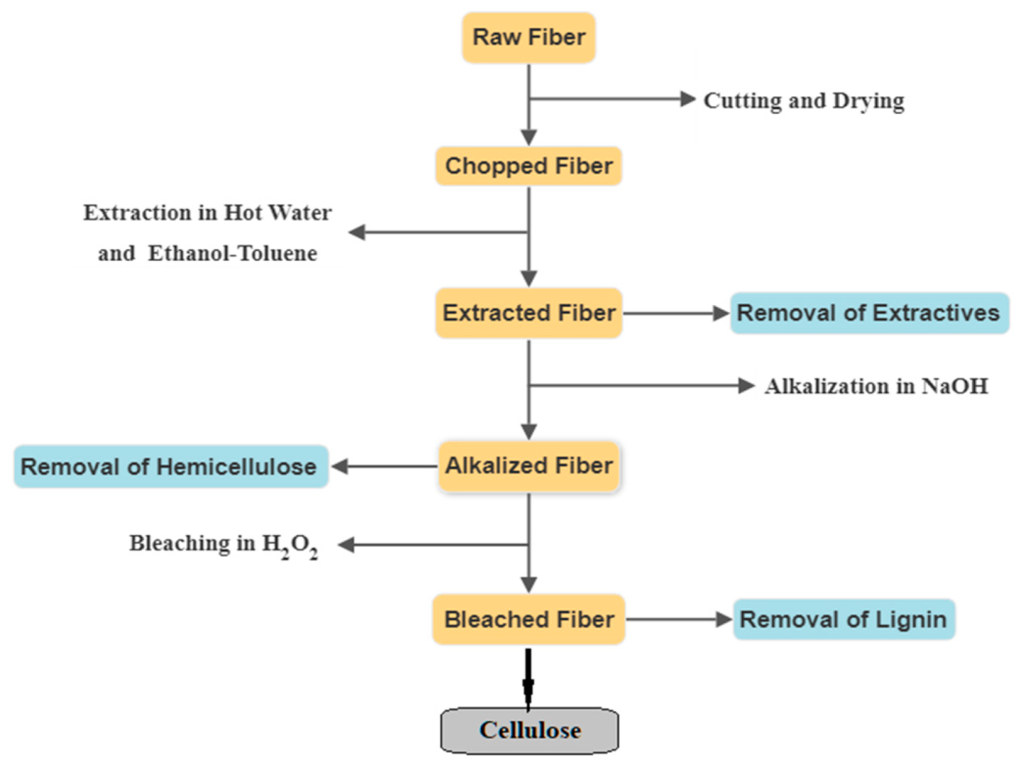 Polymers 15 00469 g002