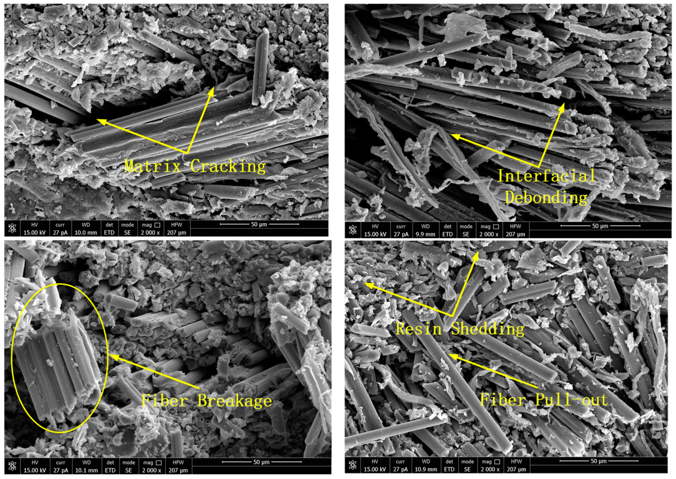 Polymers 15 00484 g009