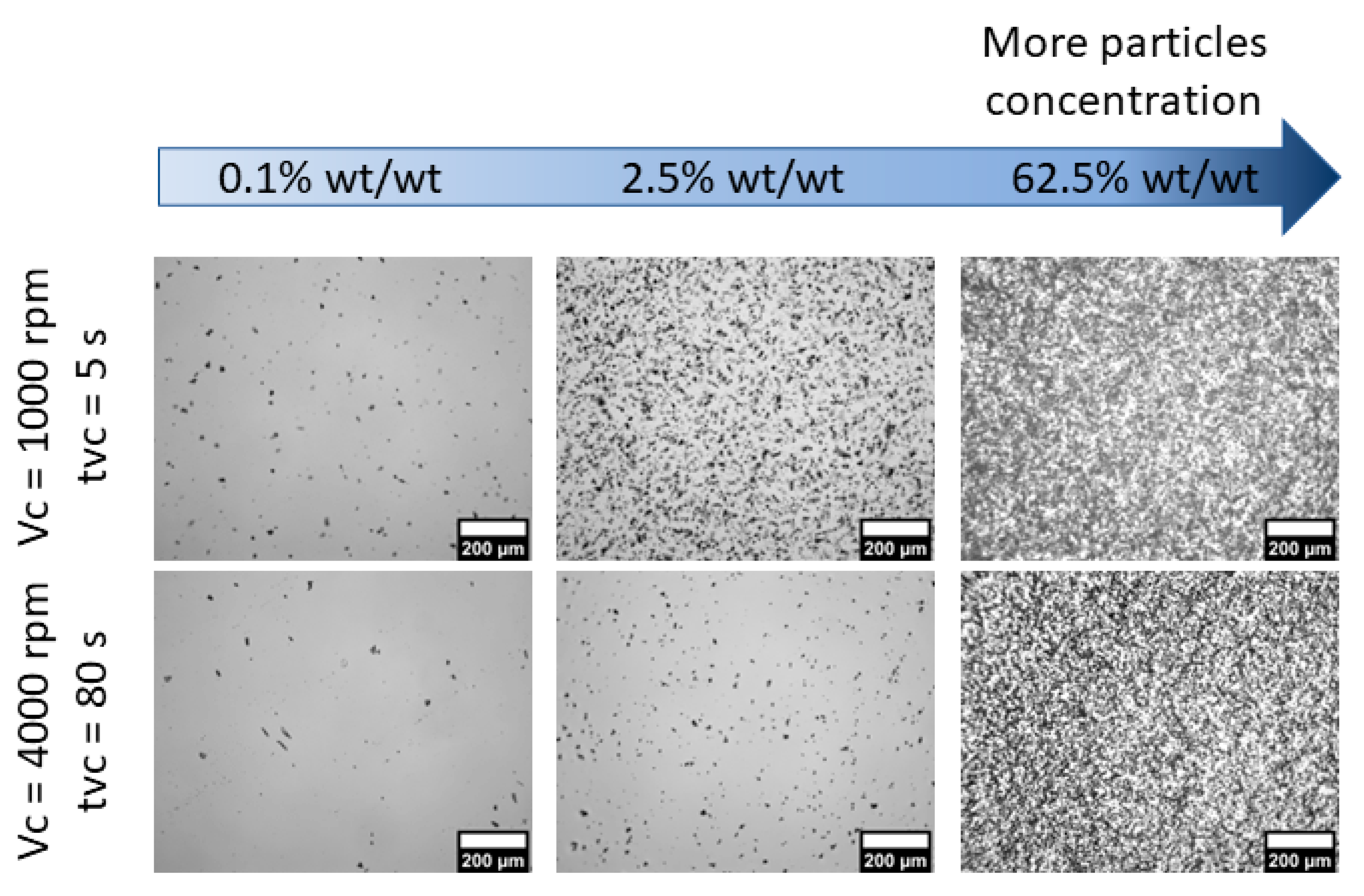 Polymers 15 00505 g008