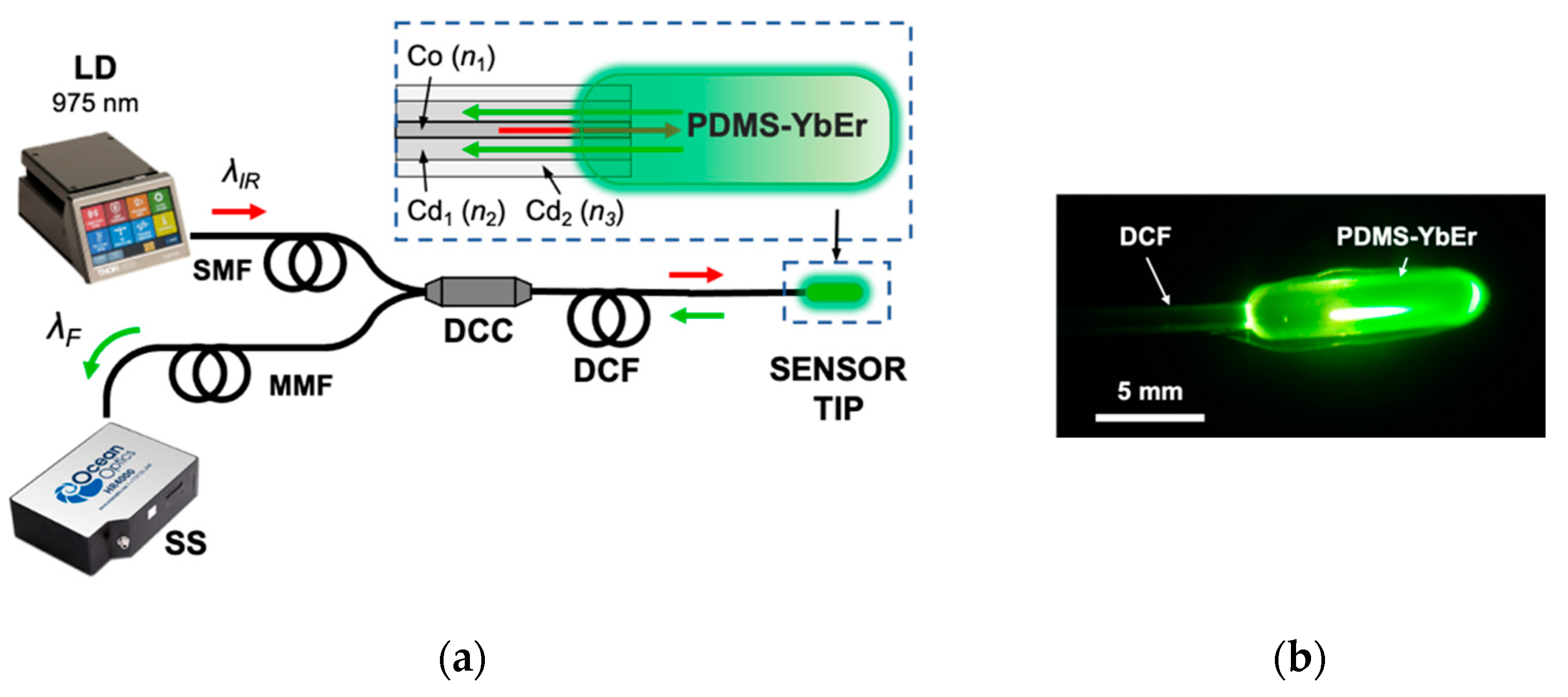 Polymers 15 00505 g012