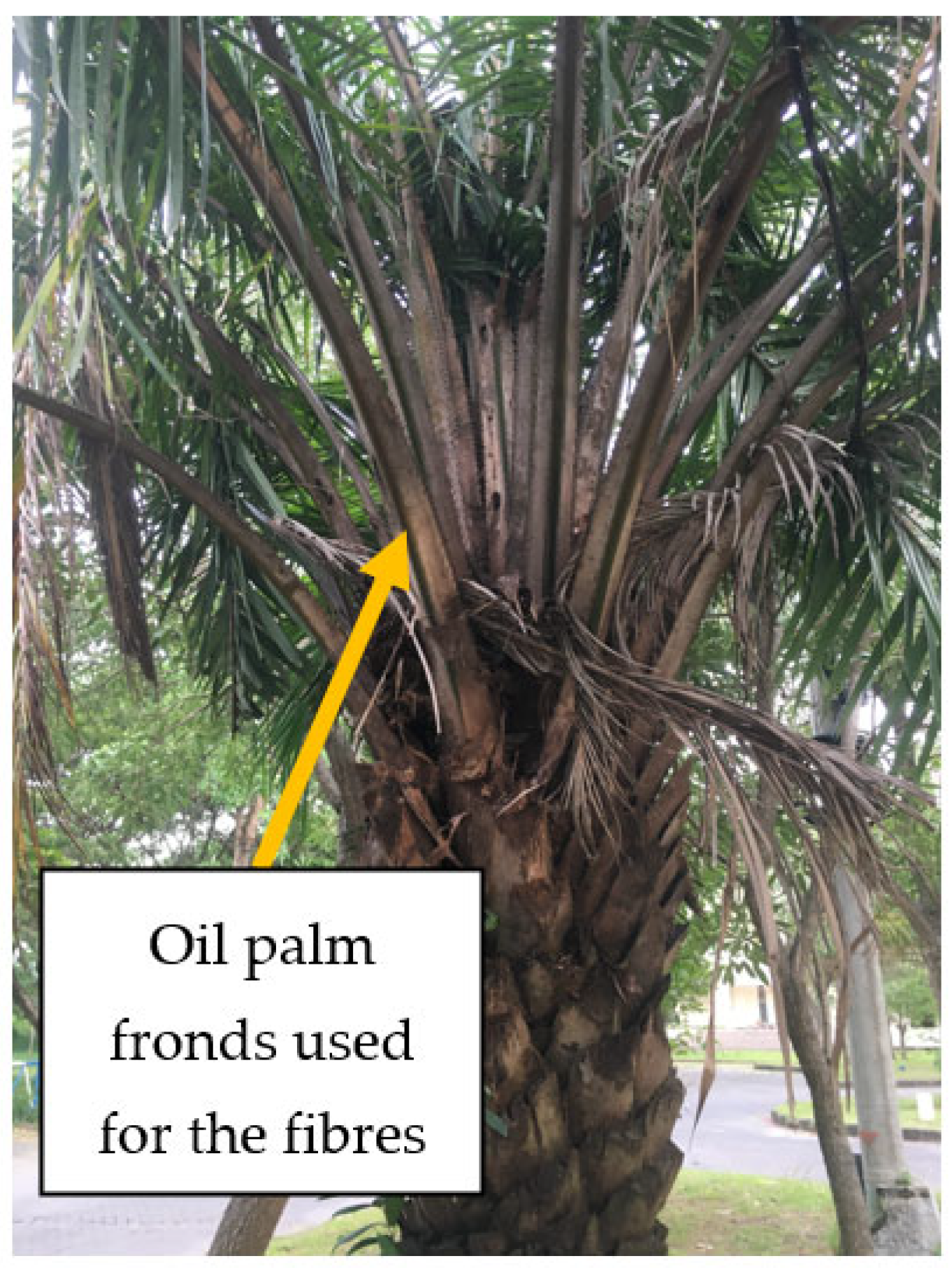 Polymers 15 00510 g001 Polymers 15 00510 g001