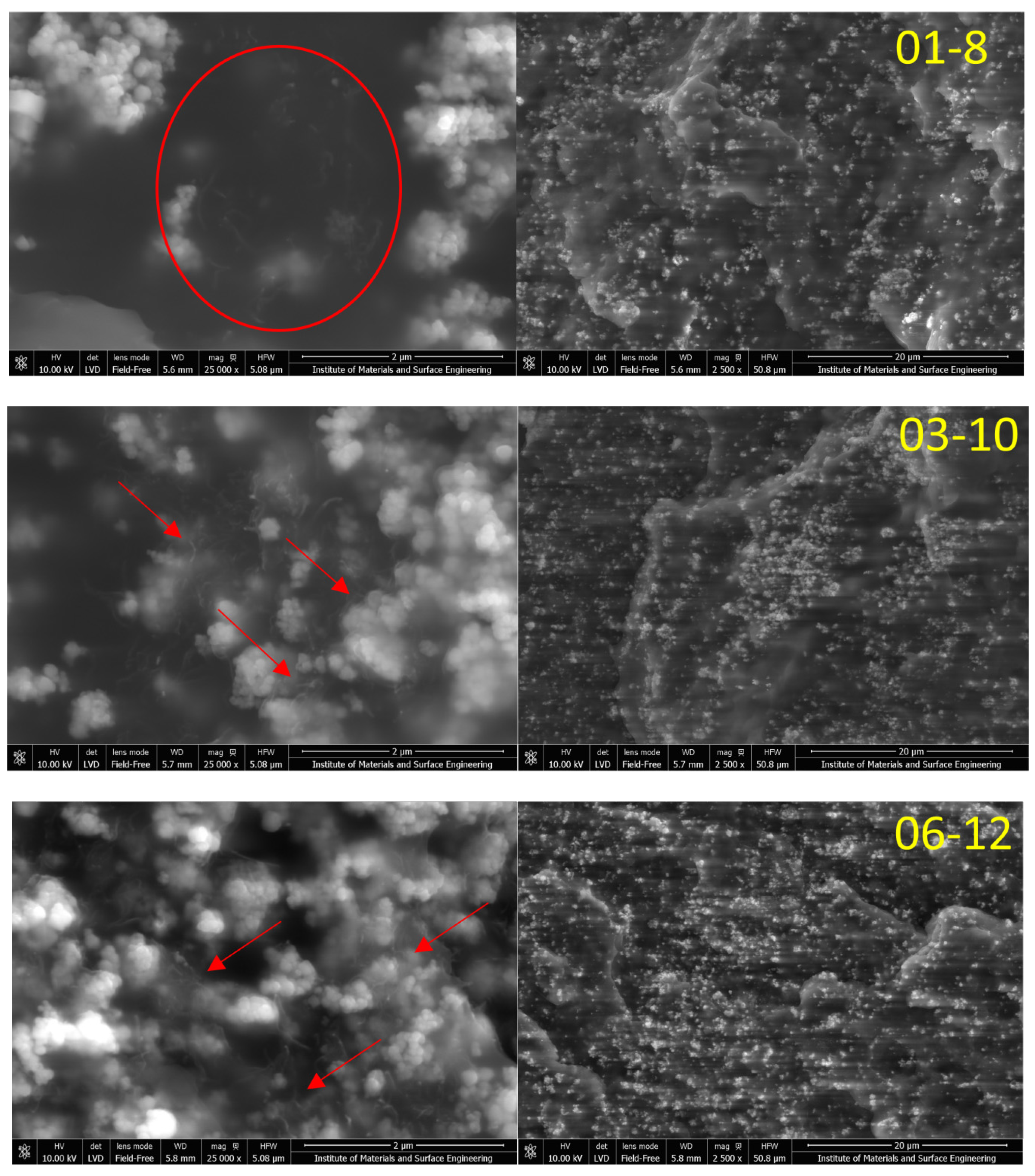 Polymers 15 00515 g001 Polymers 15 00515 g001