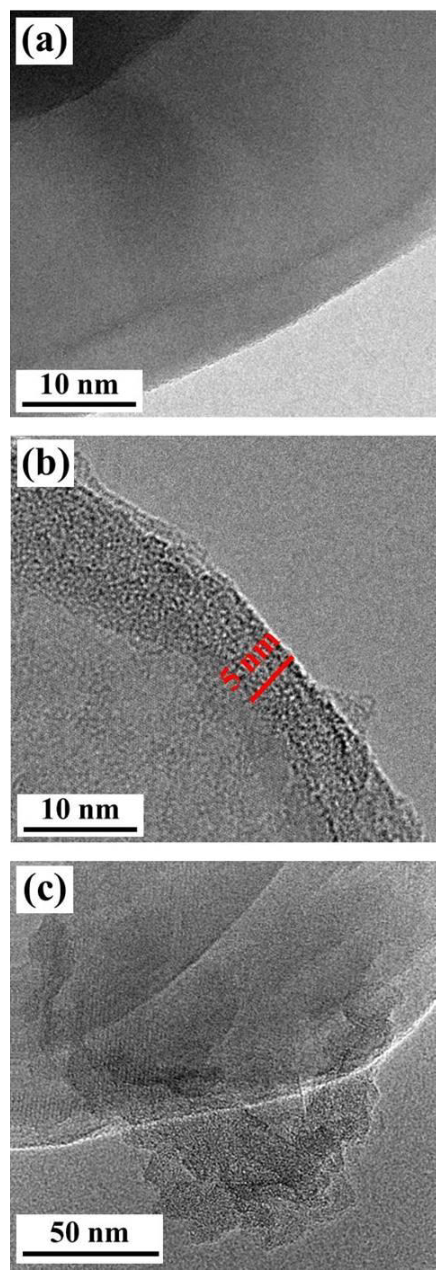 Polymers 15 00523 g004