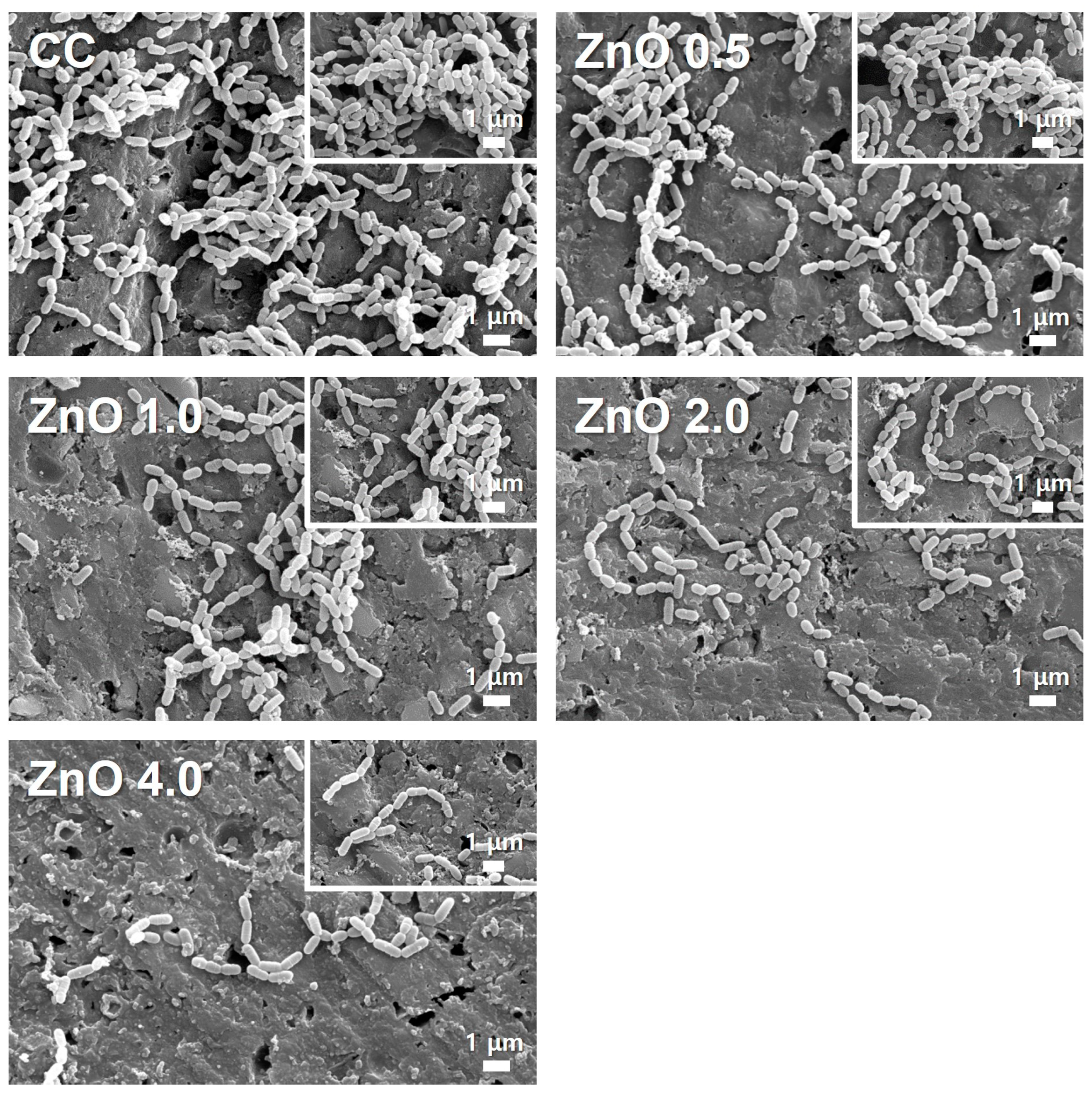 Polymers 15 00529 g003 Polymers 15 00529 g003