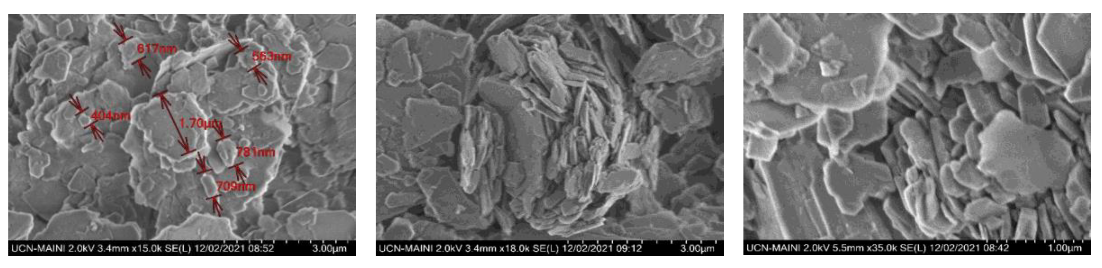 Polymers 15 00530 g002