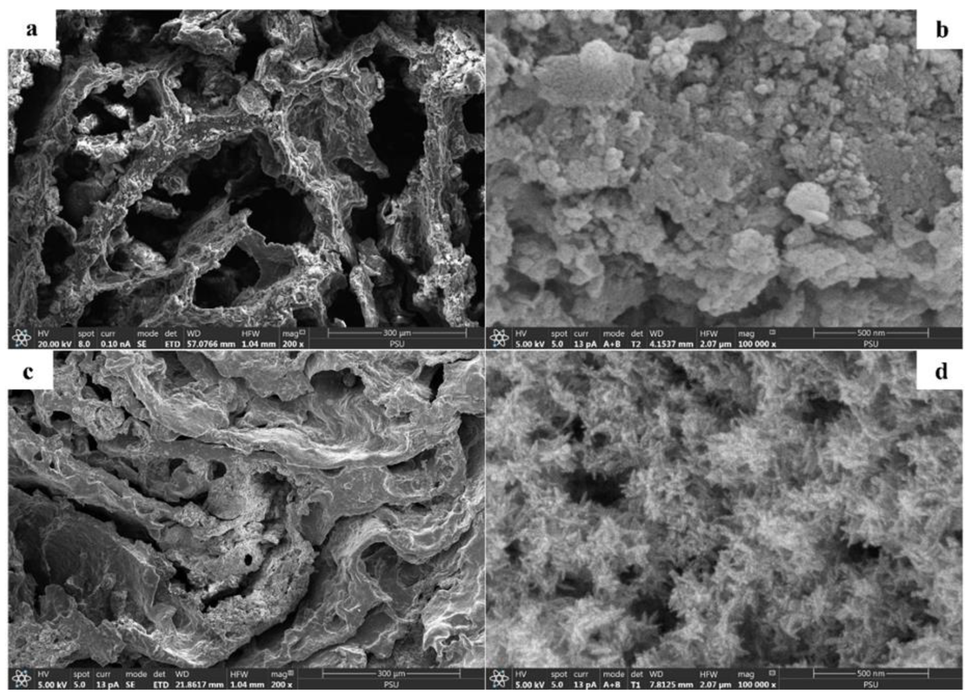 Polymers 15 00539 g002