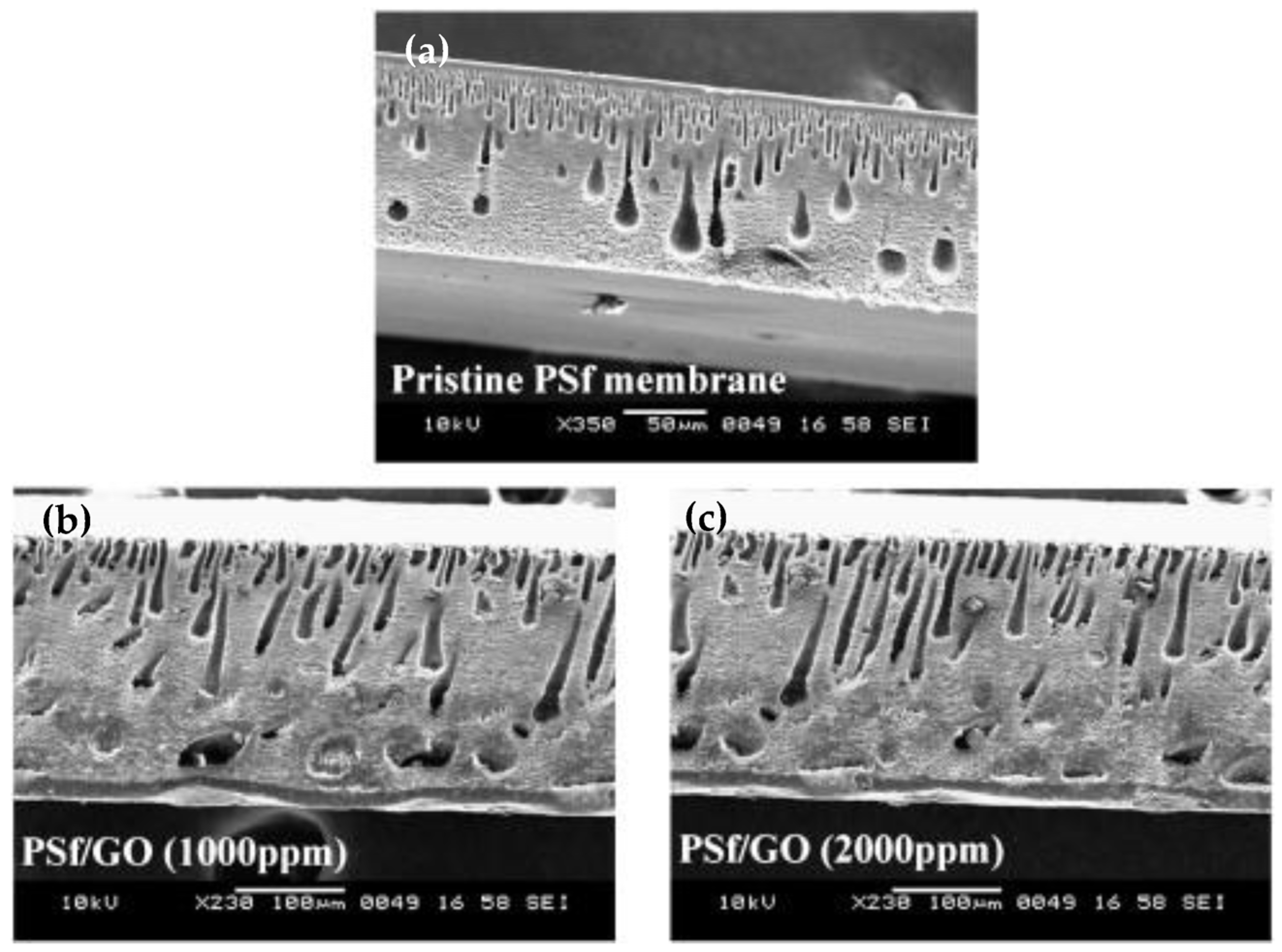 Polymers 15 00540 g008 Polymers 15 00540 g008