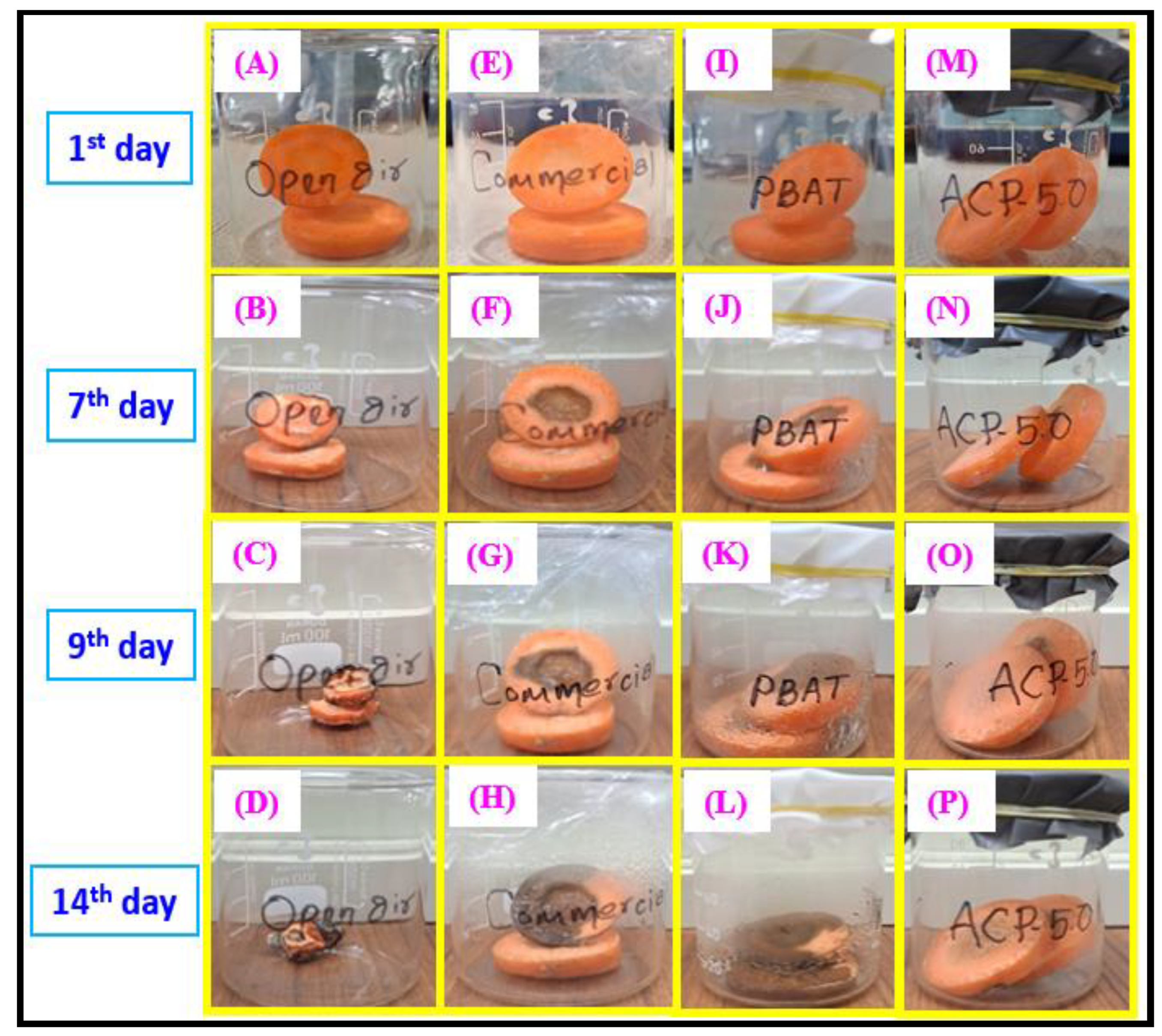 Polymers 15 00554 g013 Polymers 15 00554 g013