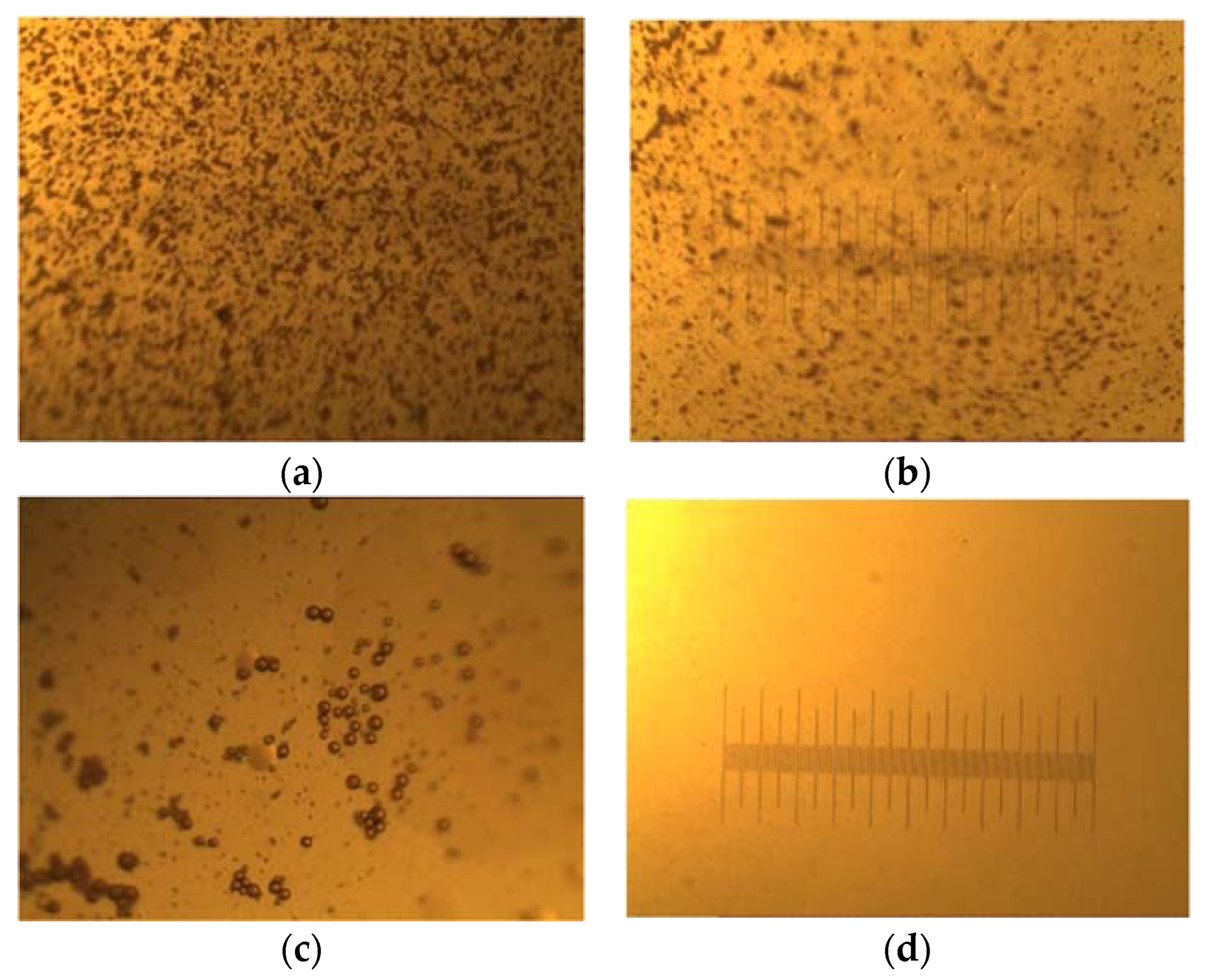 Polymers 15 00562 g010