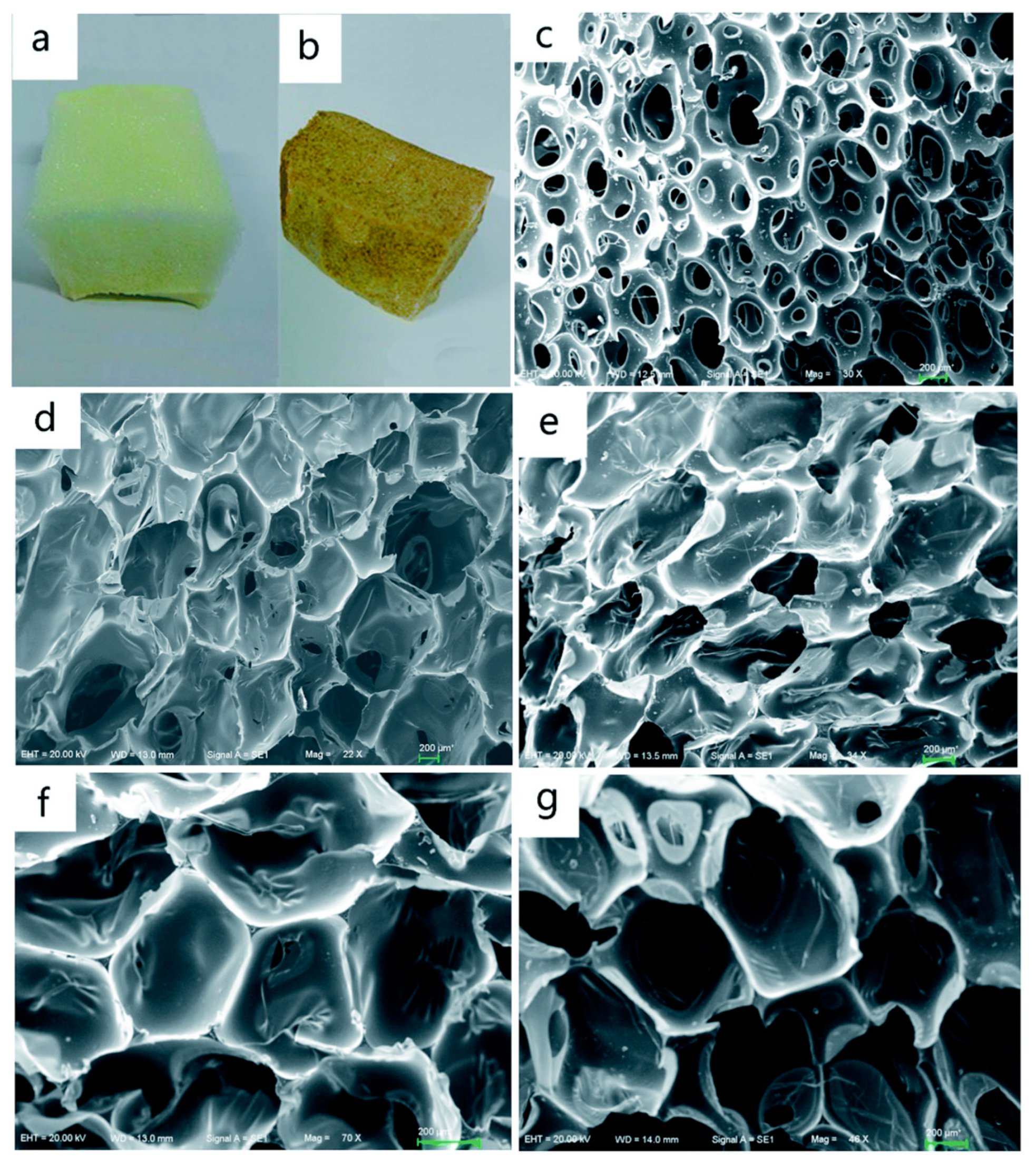 Polymers 15 00563 g017 Polymers 15 00563 g017