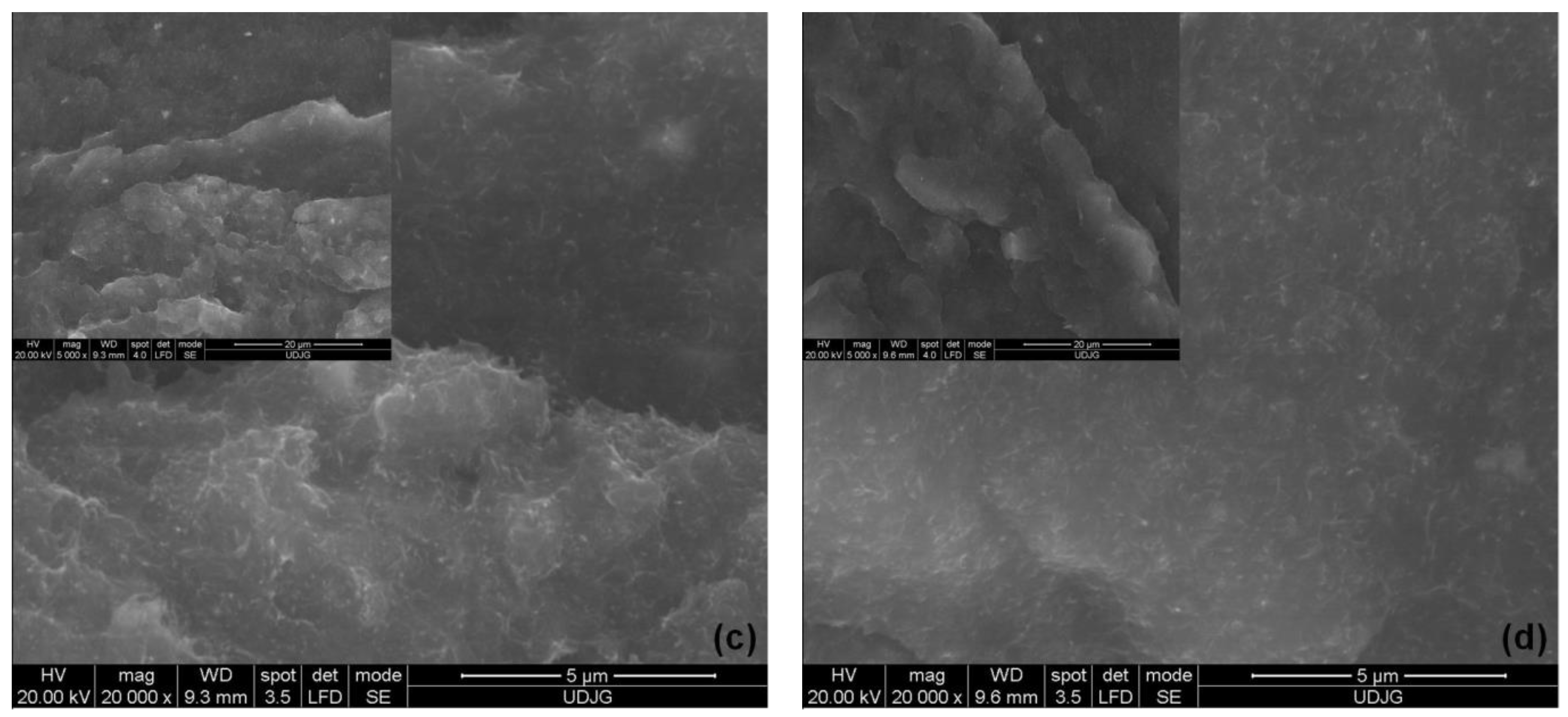 Polymers 15 00583 g011b Polymers 15 00583 g011b