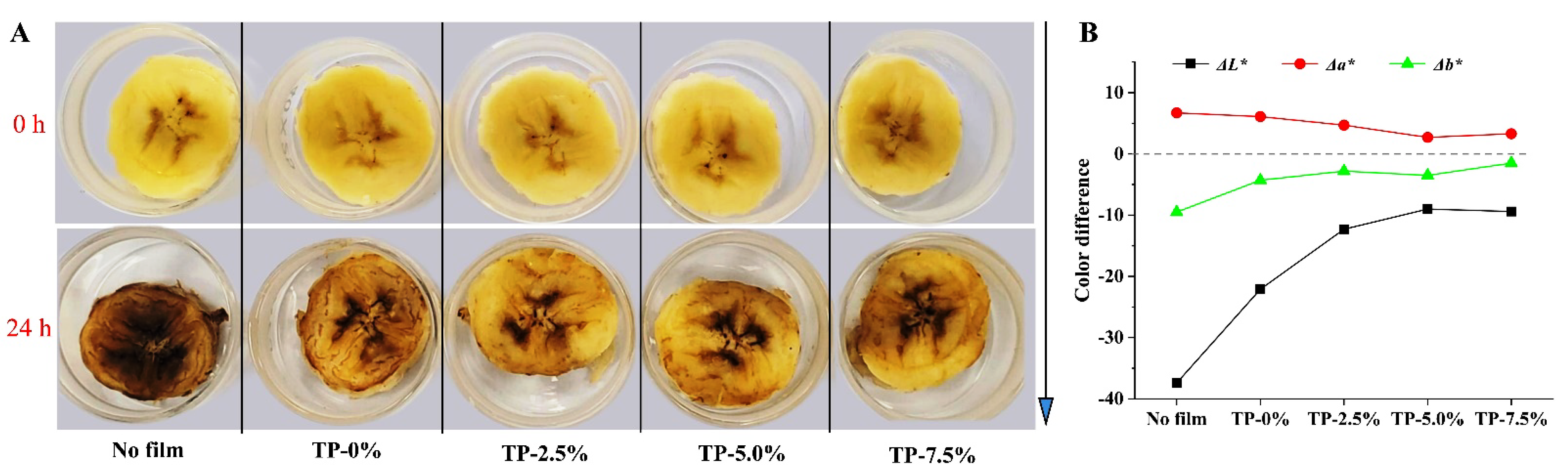 Polymers 15 00588 g007