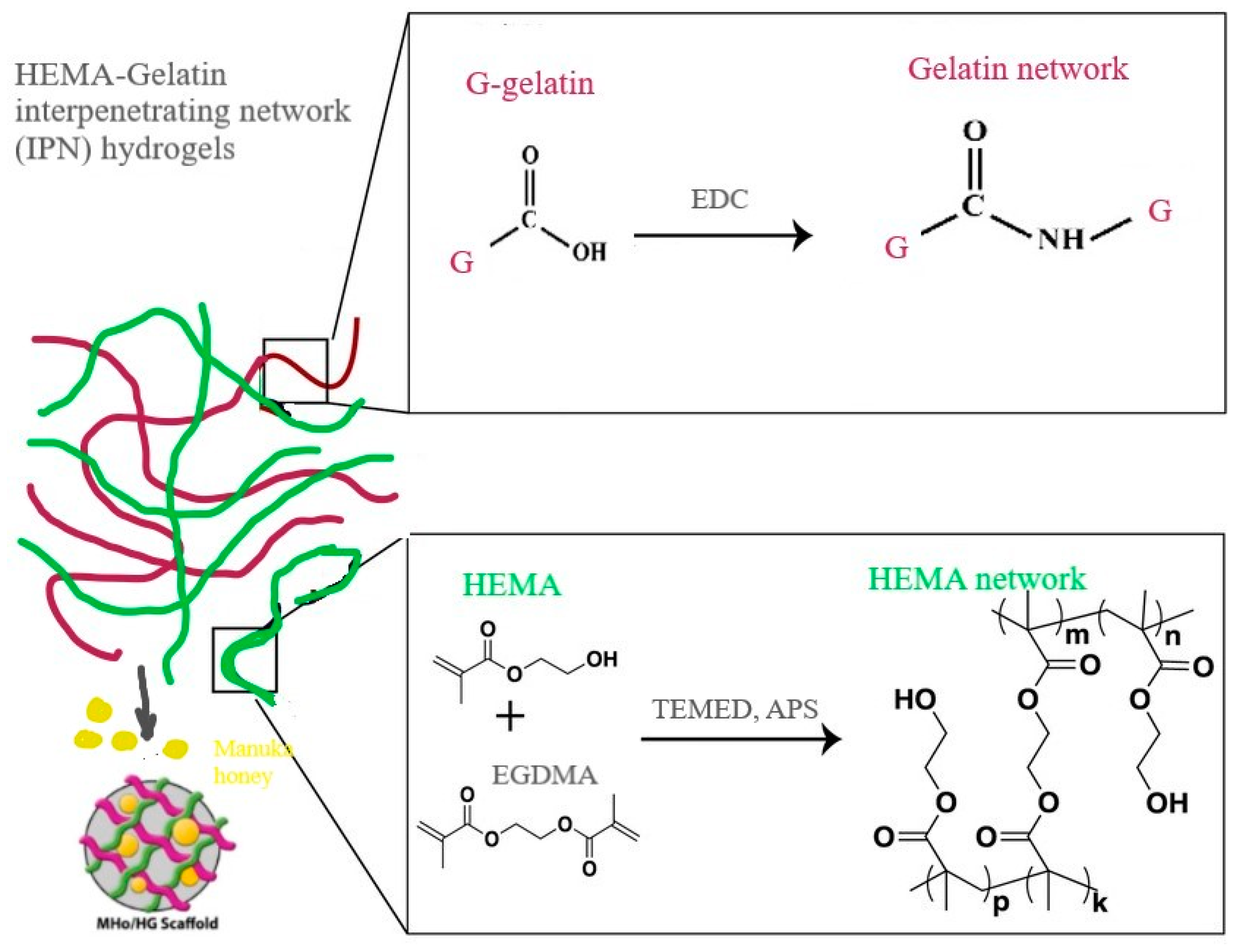 Could manuka honey be effective on collagen scaffolds?