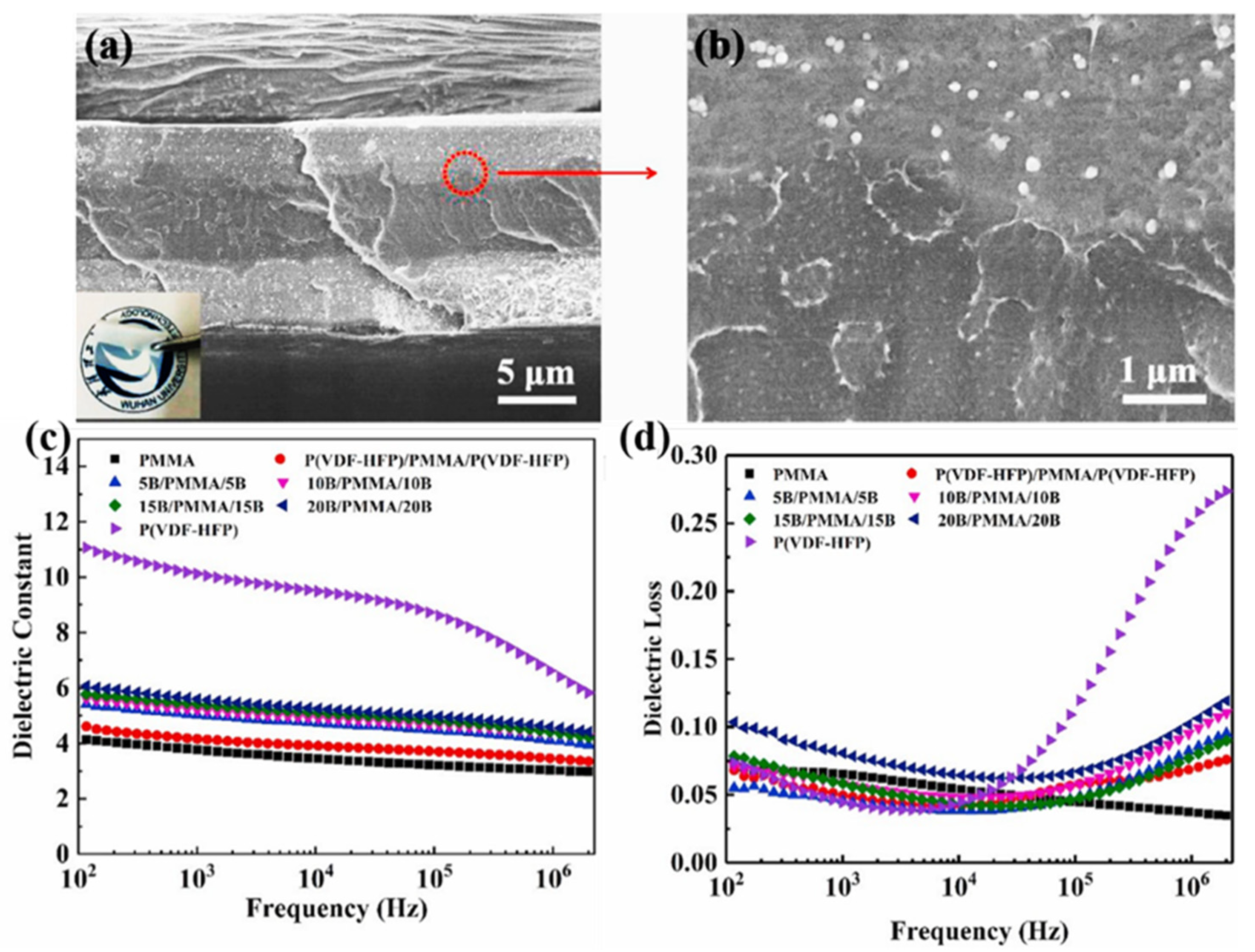 Polymers 15 00590 g004