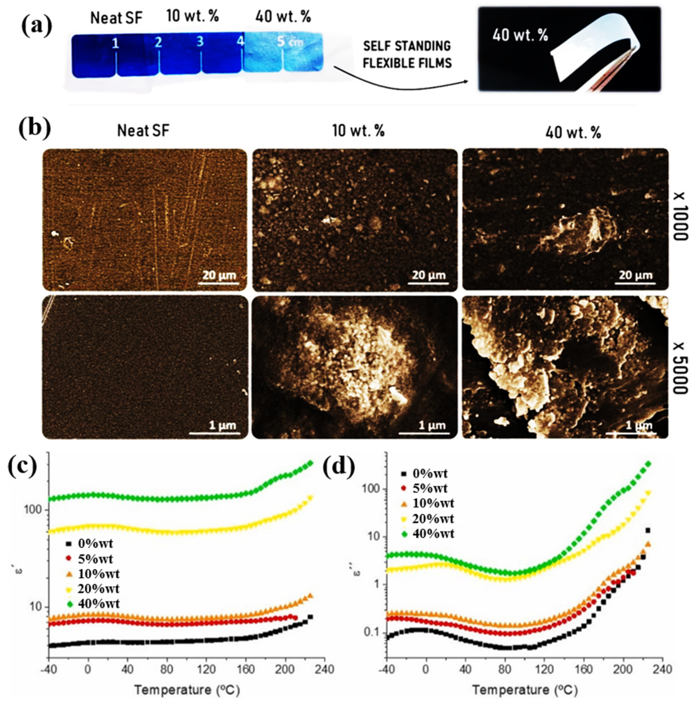 Polymers 15 00590 g006