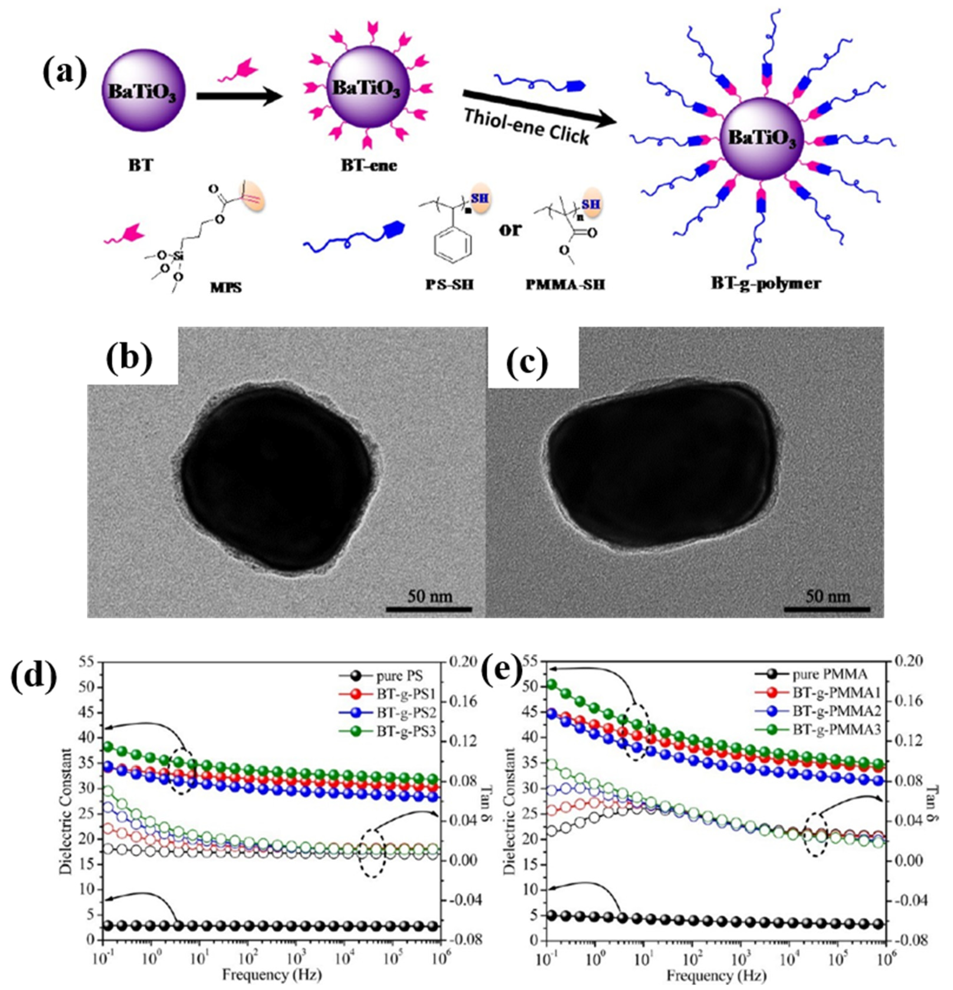 Polymers 15 00590 g007