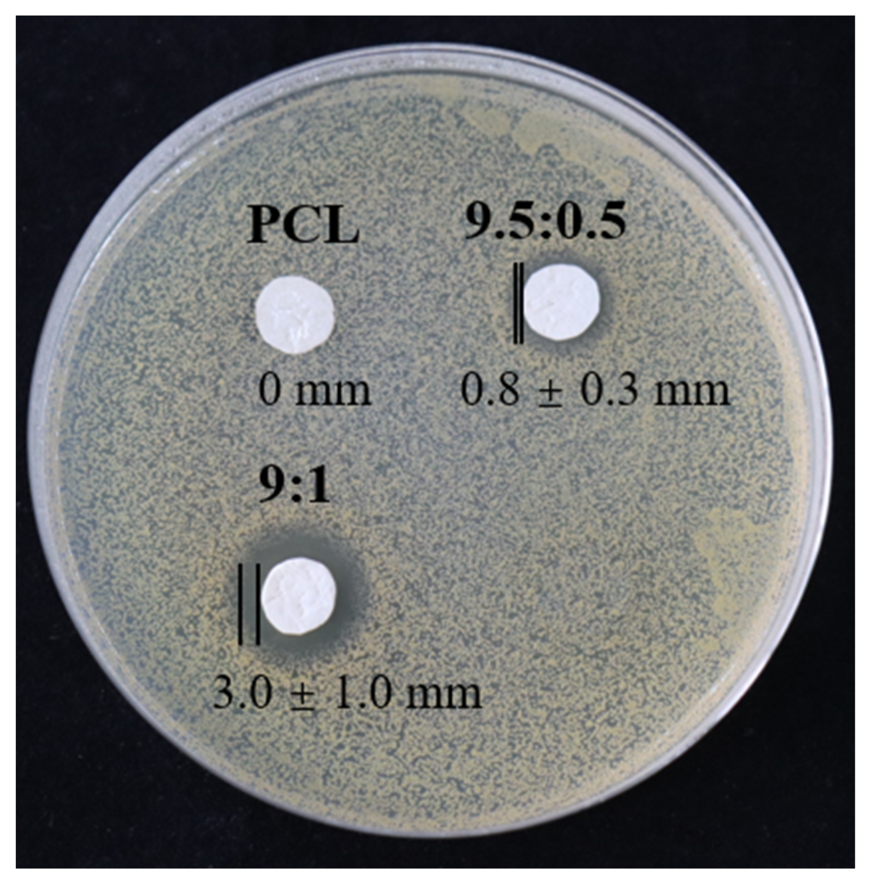 Polymers 15 00593 g007 Polymers 15 00593 g007
