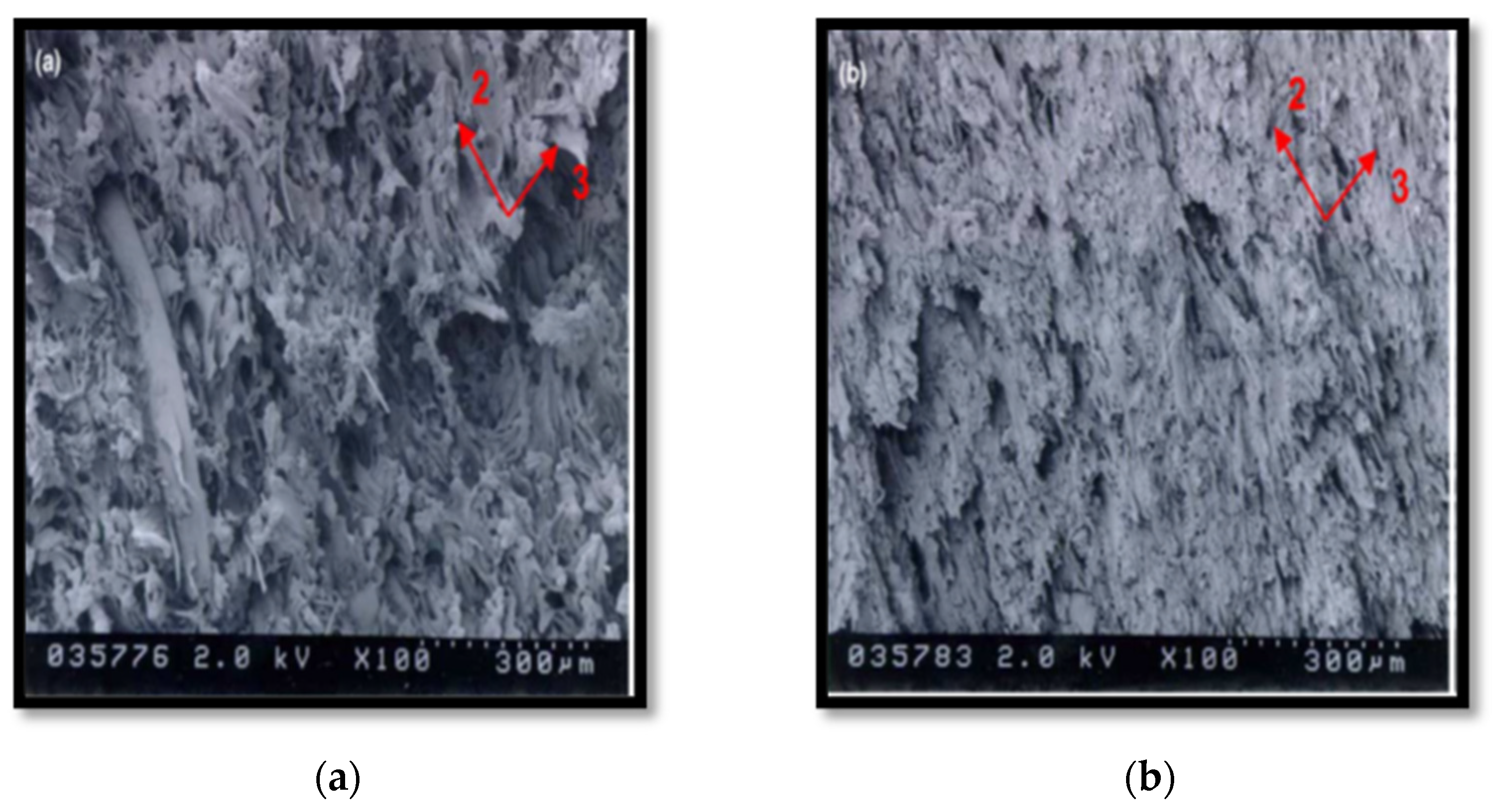 Polymers 15 00601 g007 Polymers 15 00601 g007