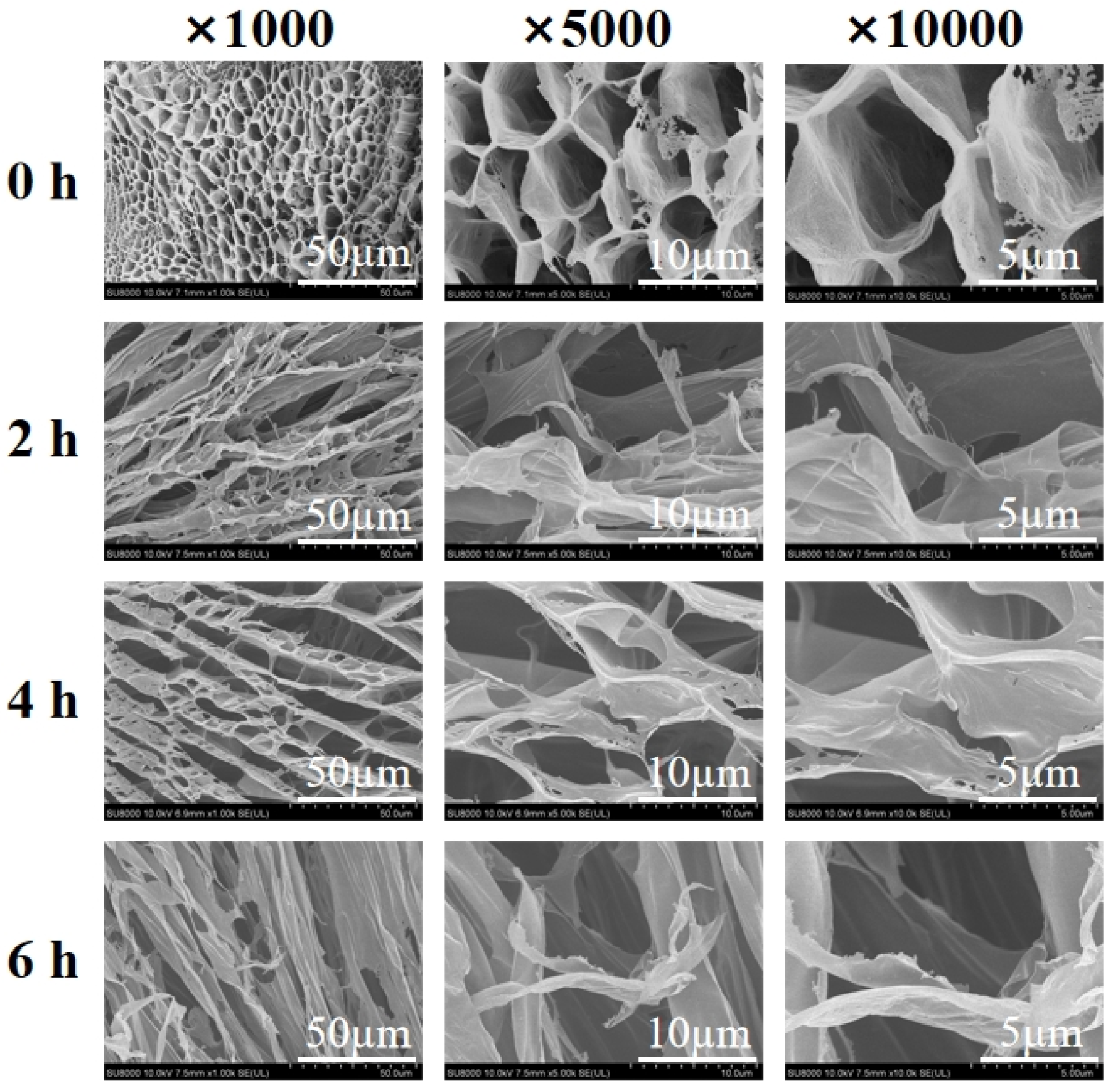 Polymers 15 00602 g010 Polymers 15 00602 g010