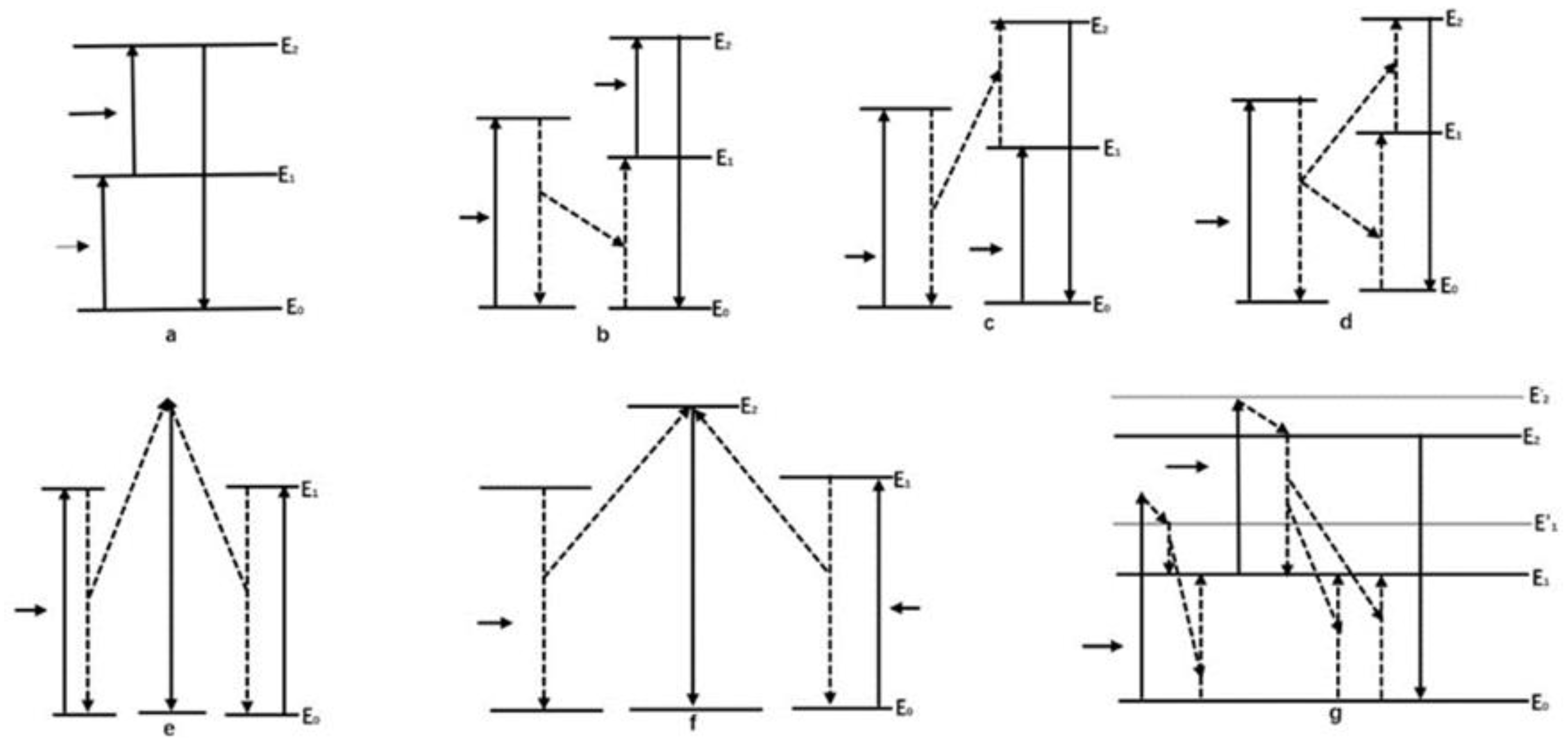 Polymers 15 00605 g005