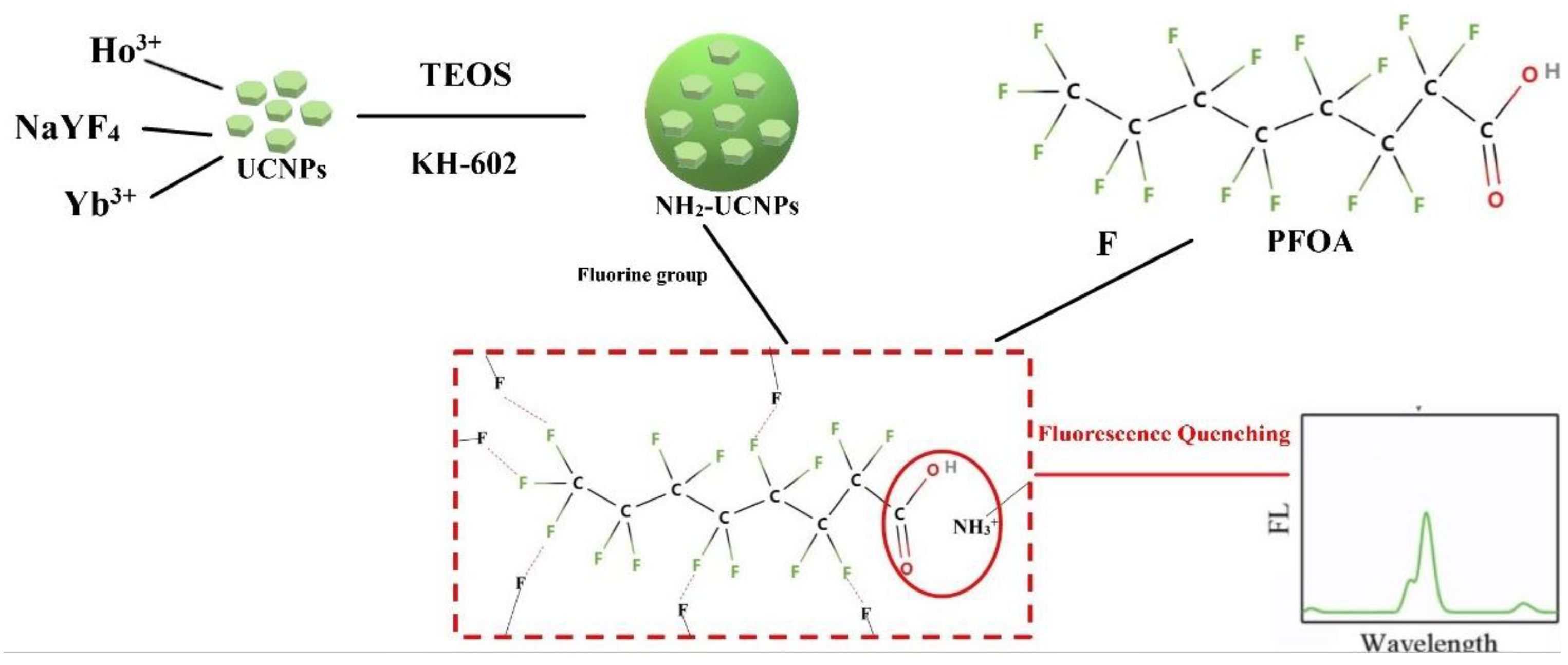 Polymers 15 00605 g013