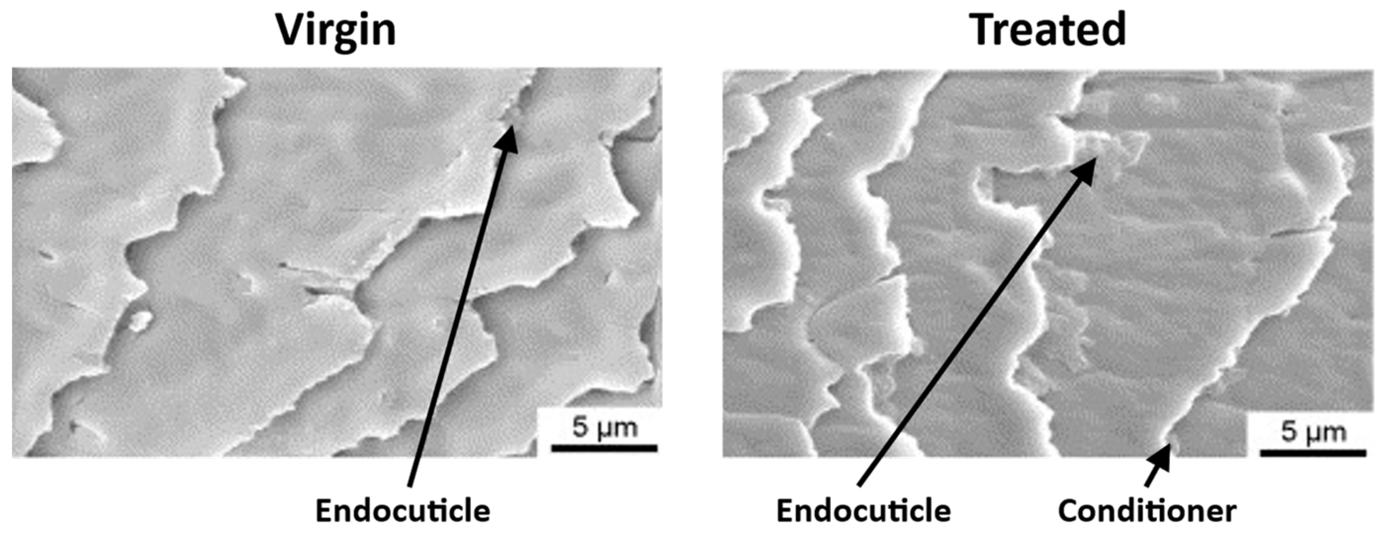 Polymers 15 00608 g006 Polymers 15 00608 g006