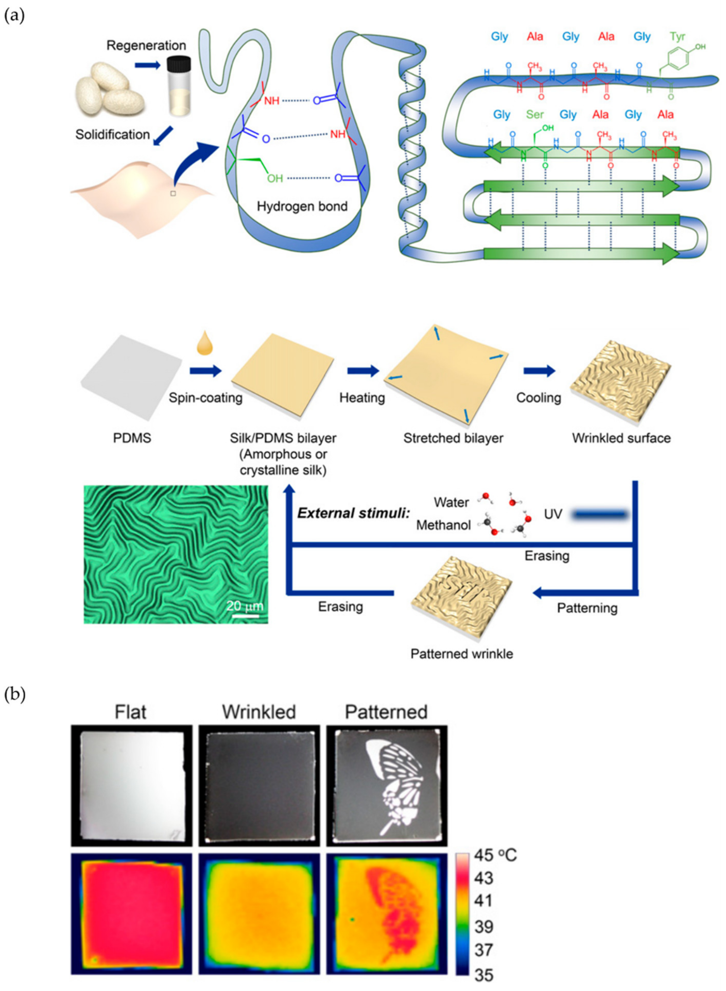 Polymers 15 00612 g003