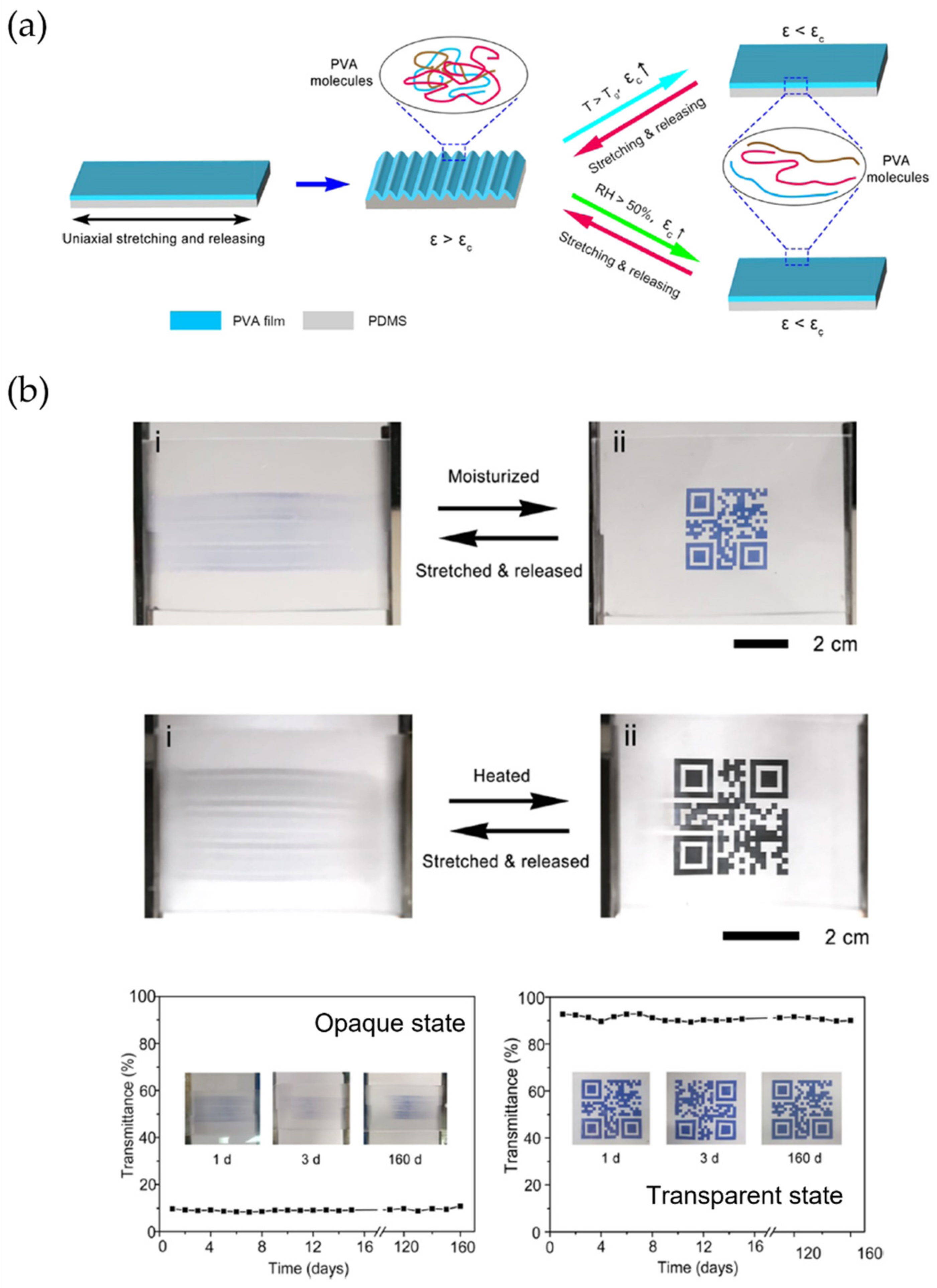 Polymers 15 00612 g013
