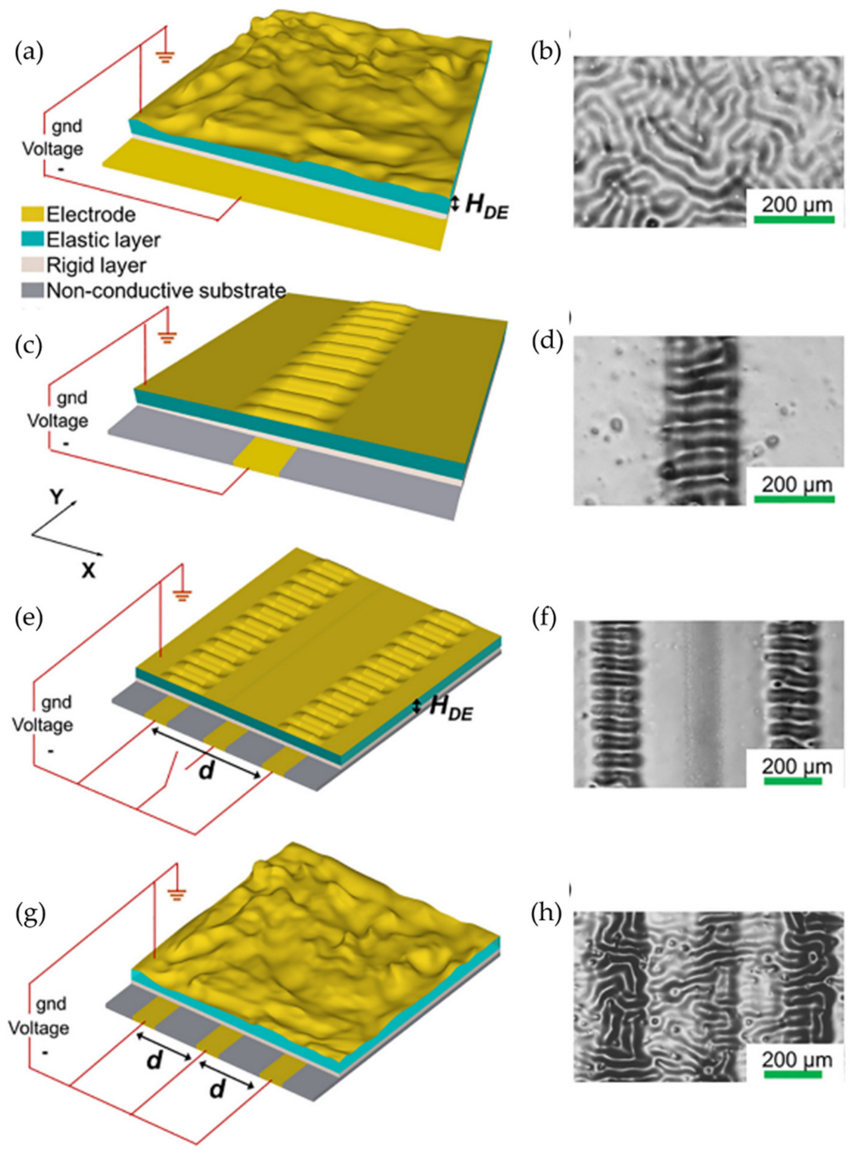 Polymers 15 00612 g016