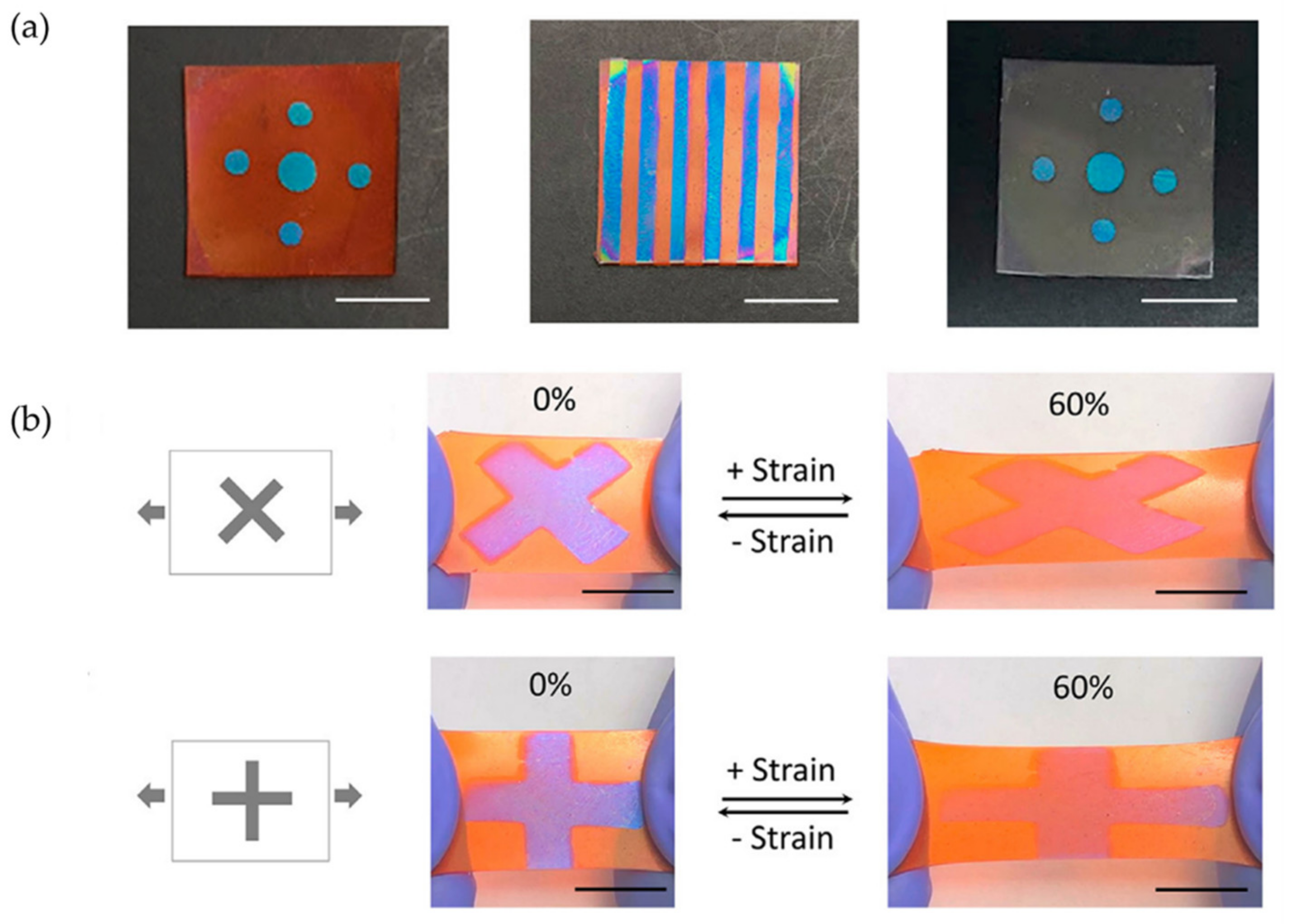 Polymers 15 00612 g018