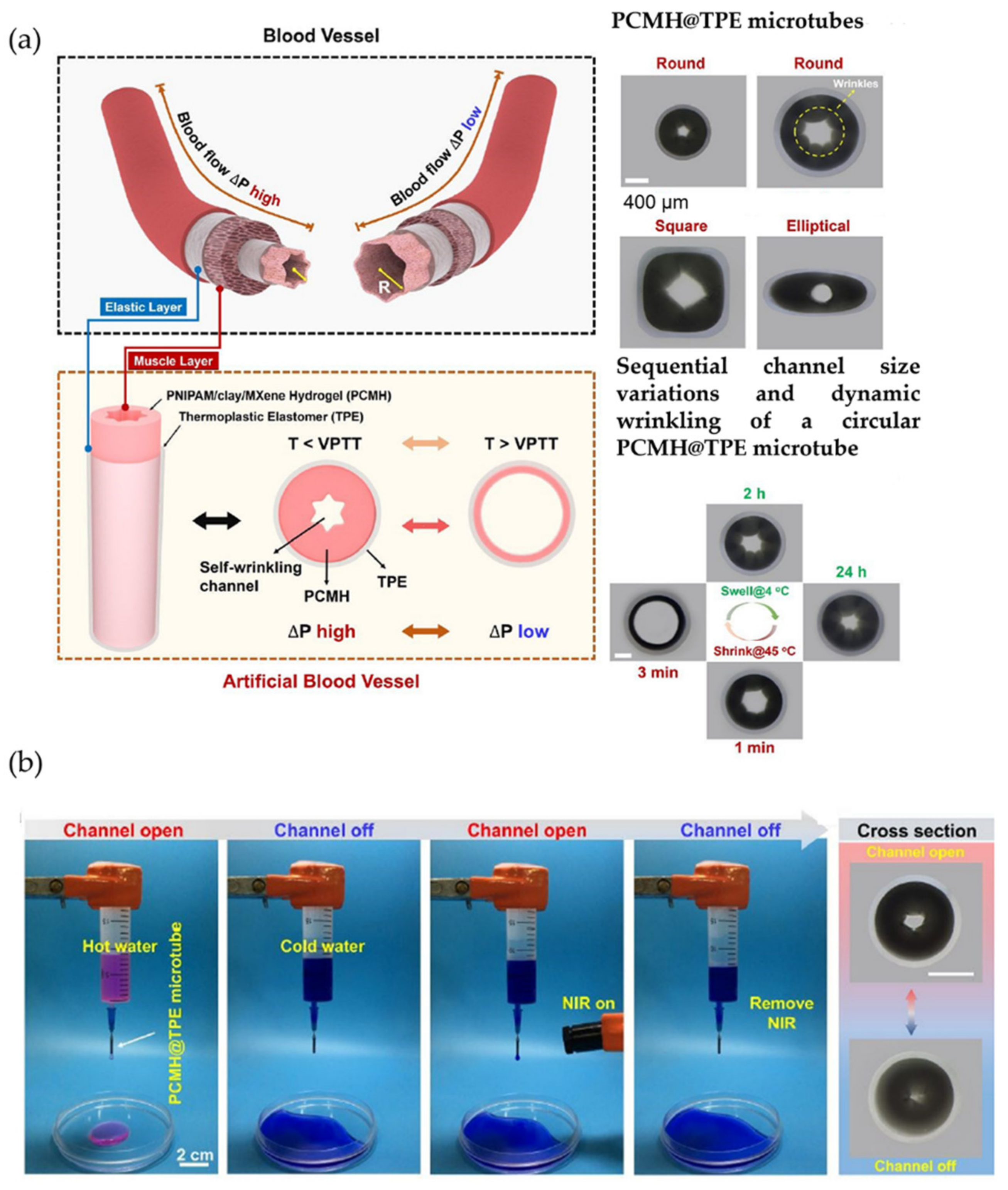 Polymers 15 00612 g030