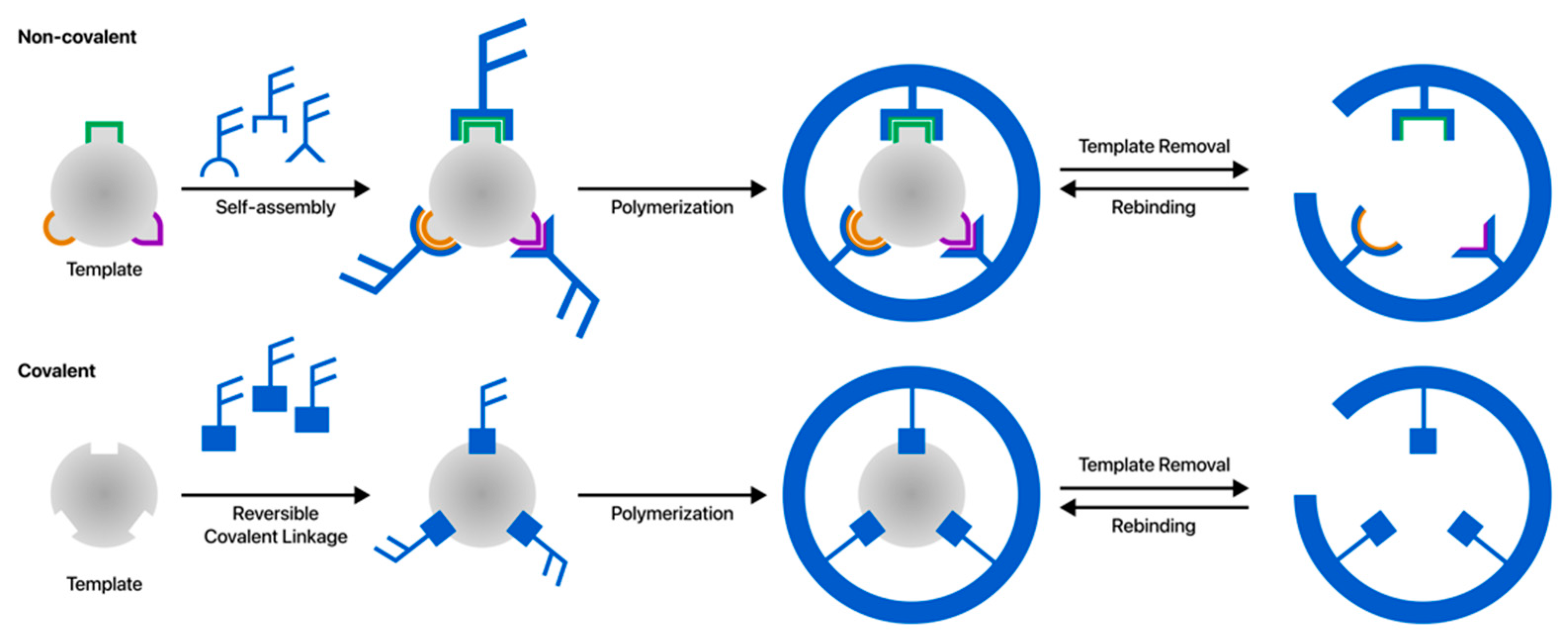 polymers-free-full-text-molecularly-imprinted-polymer-based-sensors-for-protein-detection