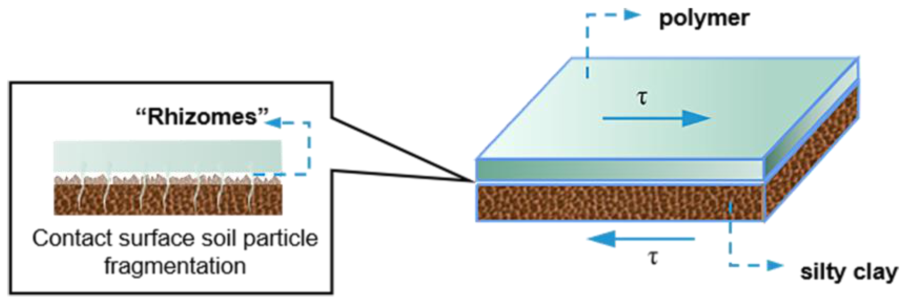 Polymers 15 00634 g012