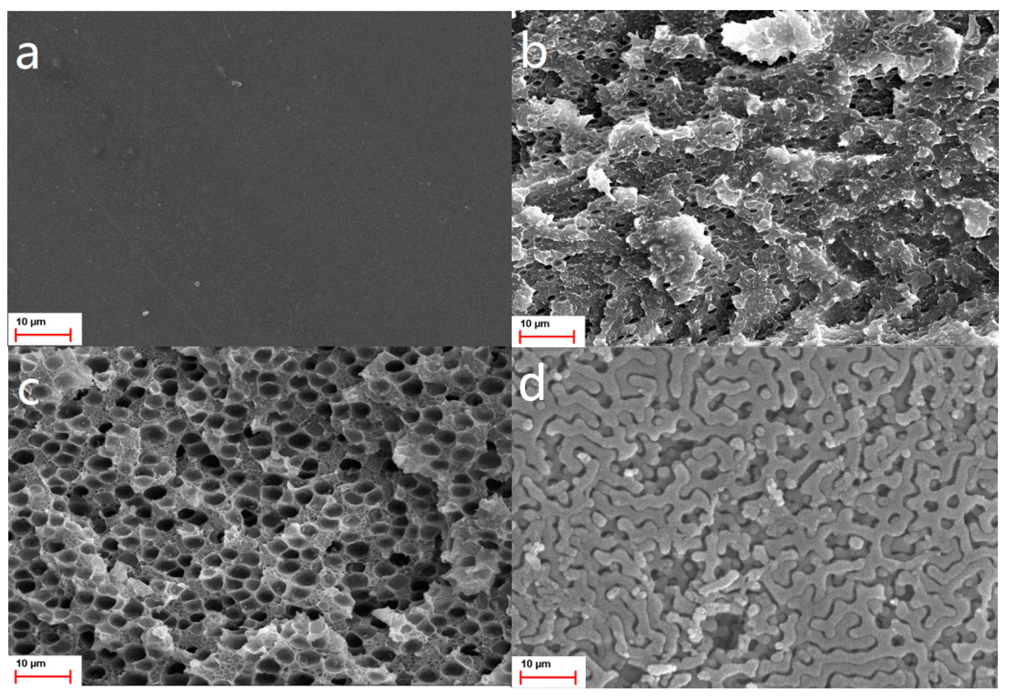 Polymers 15 00635 g005 Polymers 15 00635 g005