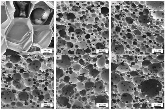 https://www.mdpi.com/polymers/polymers-15-00654/article_deploy/html/images/polymers-15-00654-g008-550.jpg