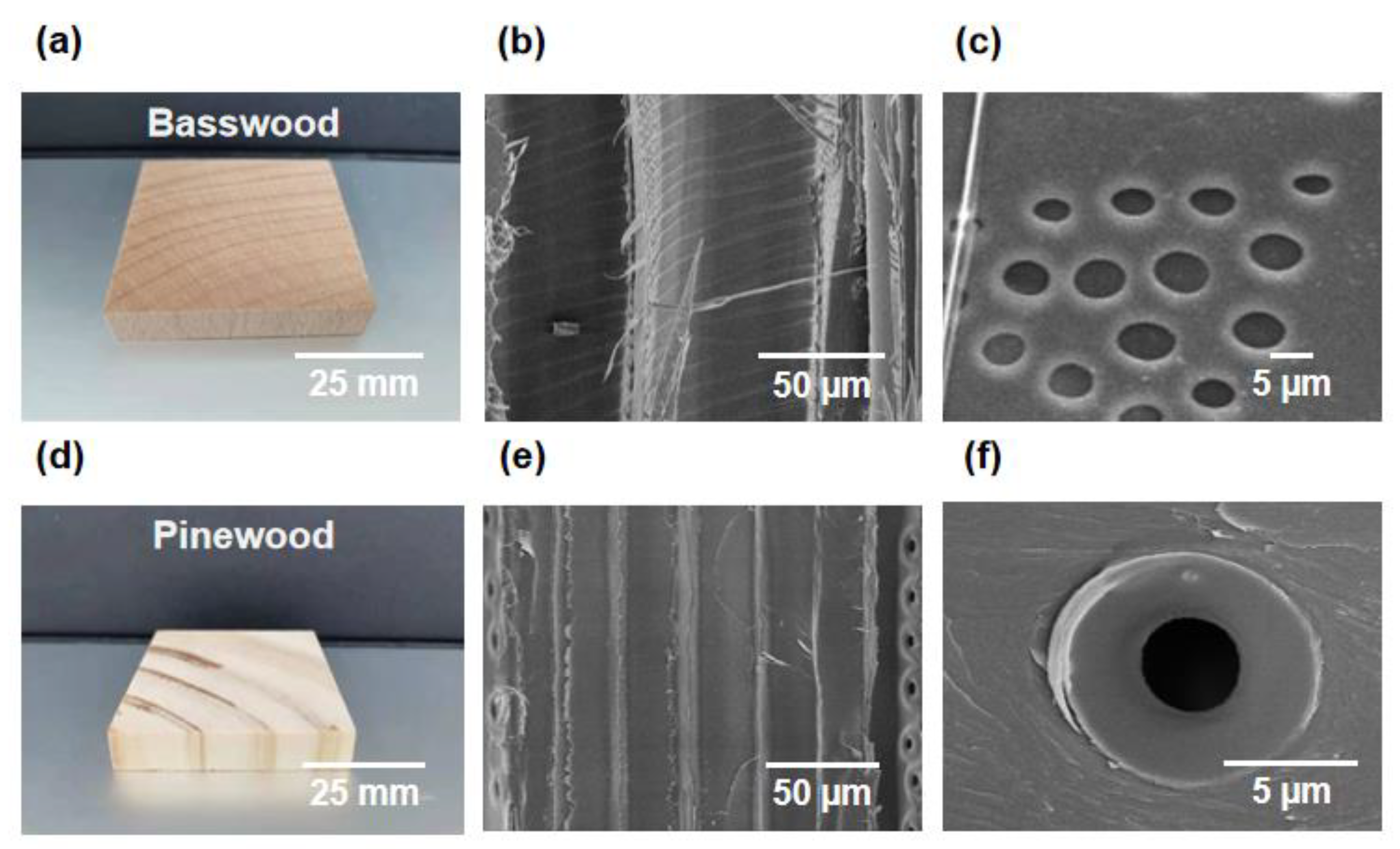 Polymers 15 00658 g002 Polymers 15 00658 g002