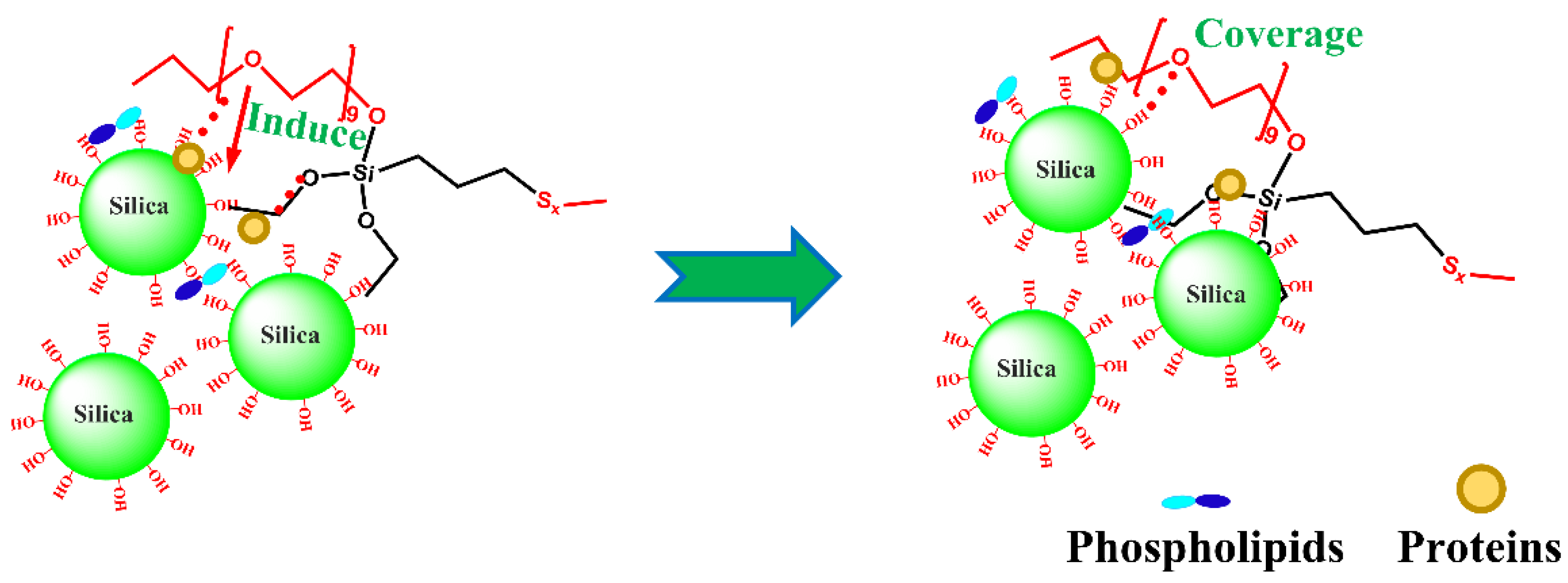 Polymers 15 00674 g008