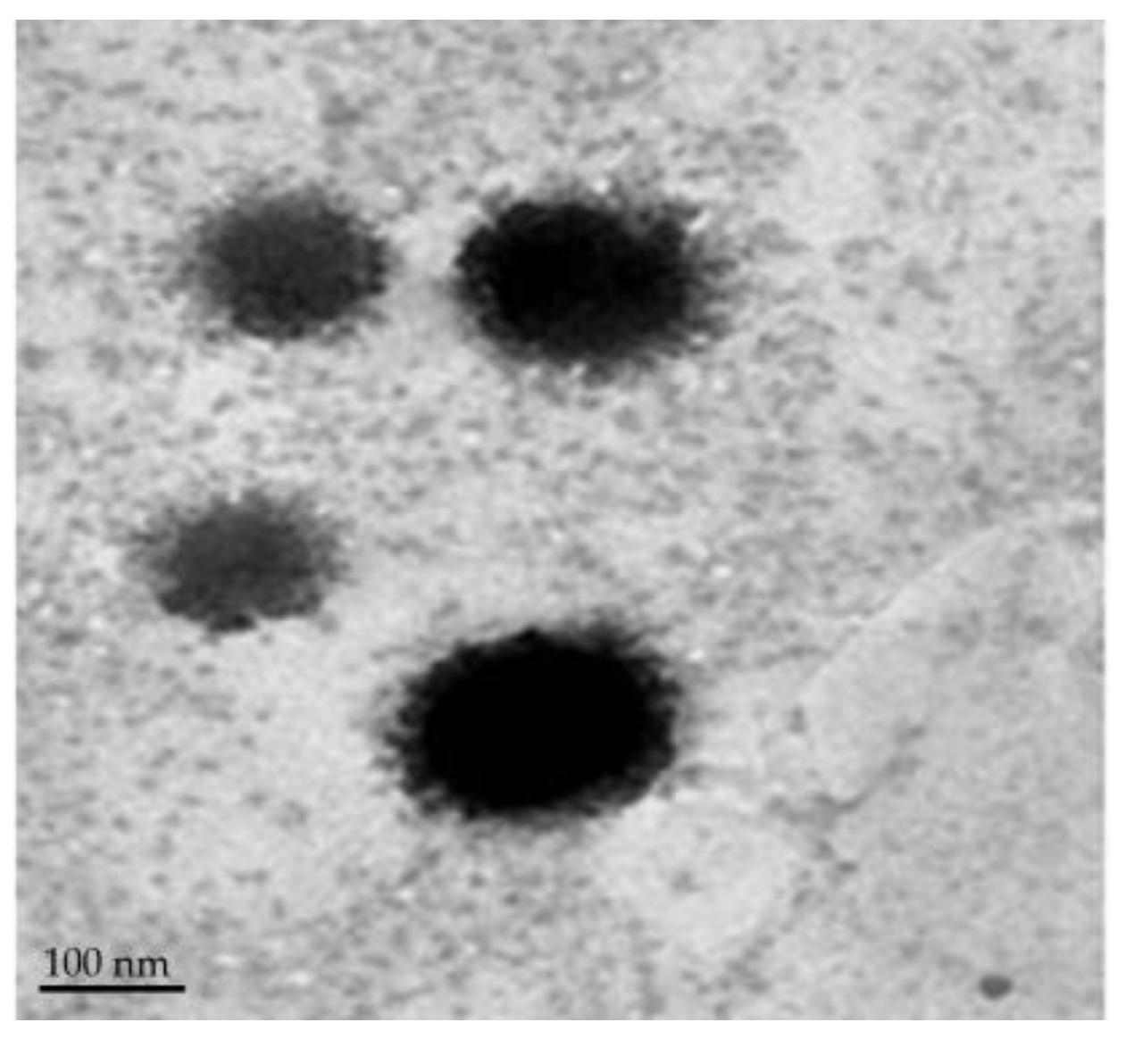Polymers 15 00677 g004