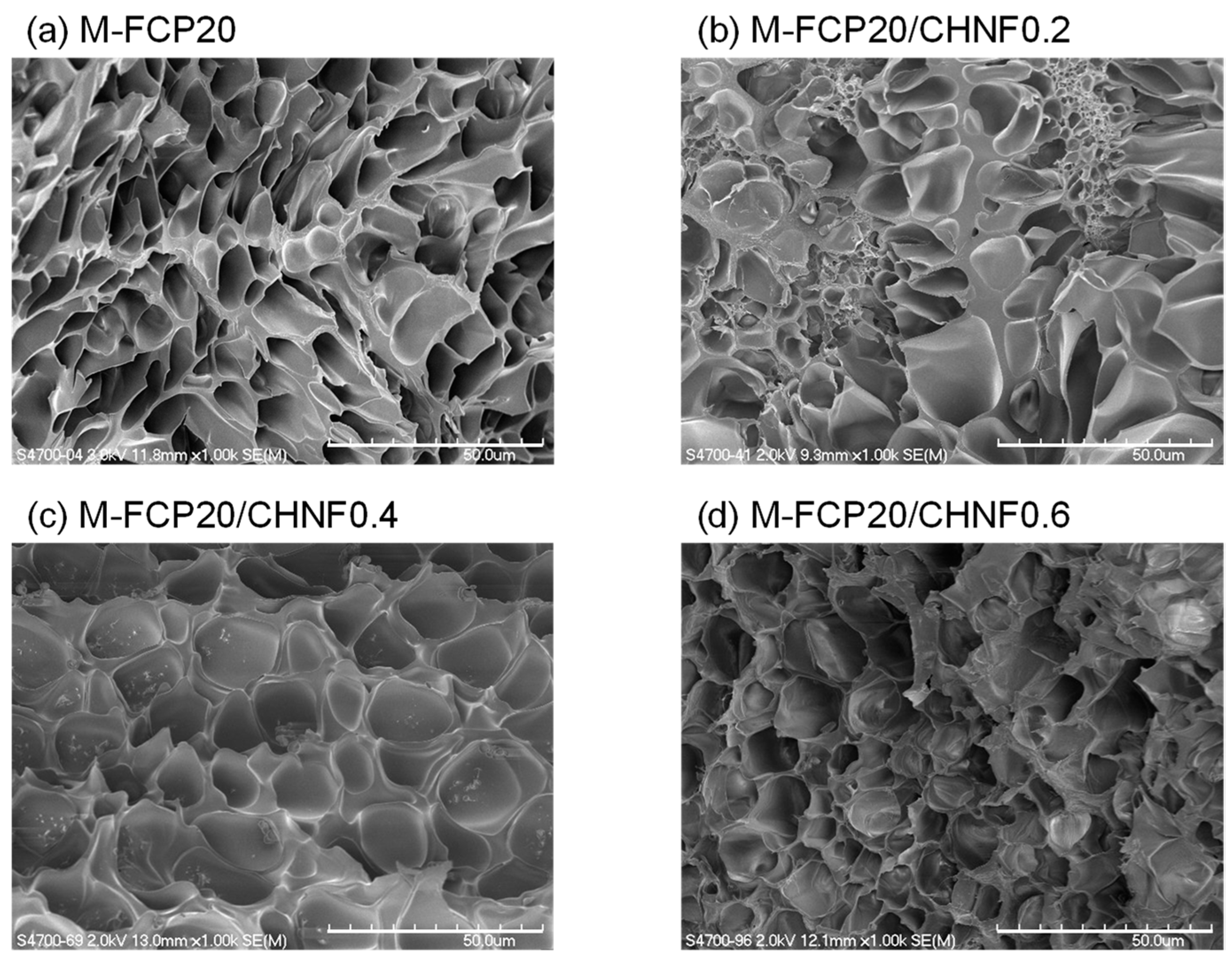 Polymers 15 00682 g002 Polymers 15 00682 g002