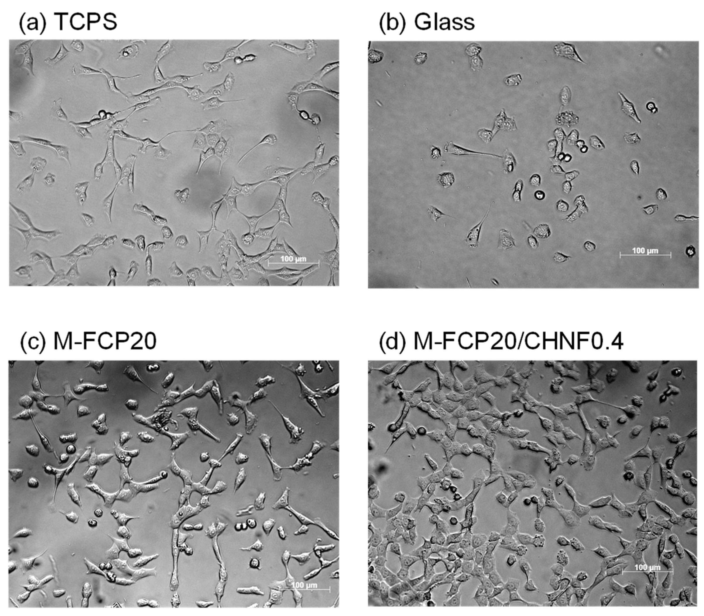 Polymers 15 00682 g005 Polymers 15 00682 g005