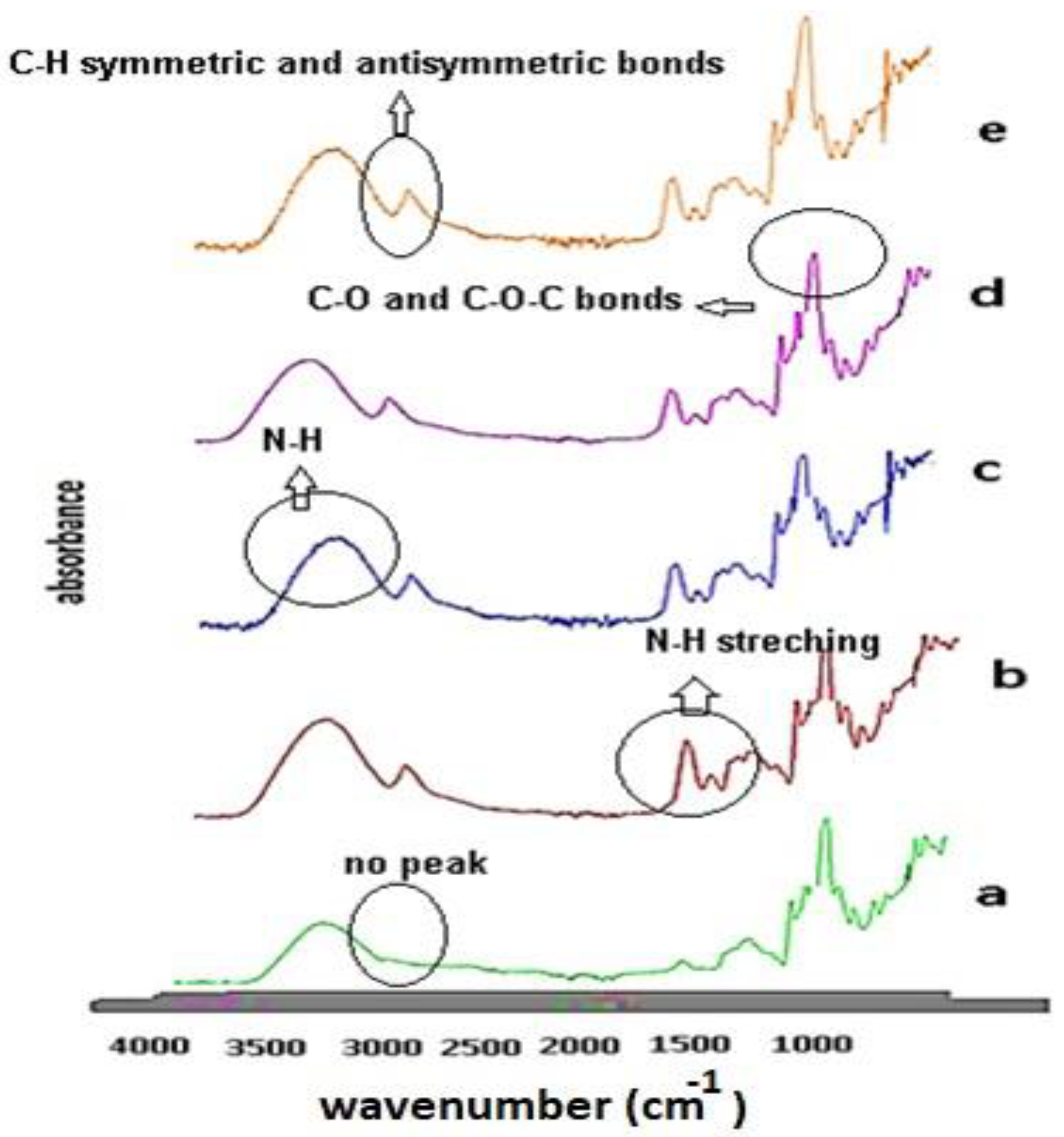 Polymers 15 00689 g002