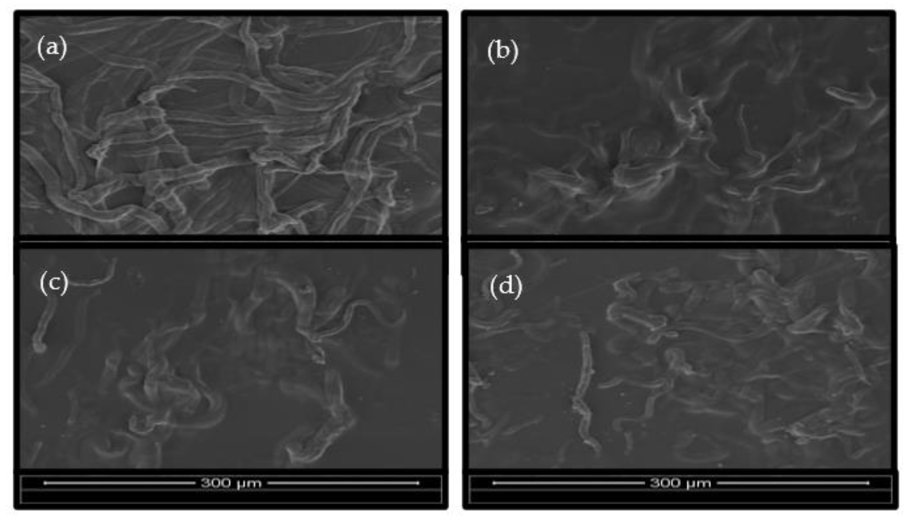 Polymers 15 00691 g007 Polymers 15 00691 g007