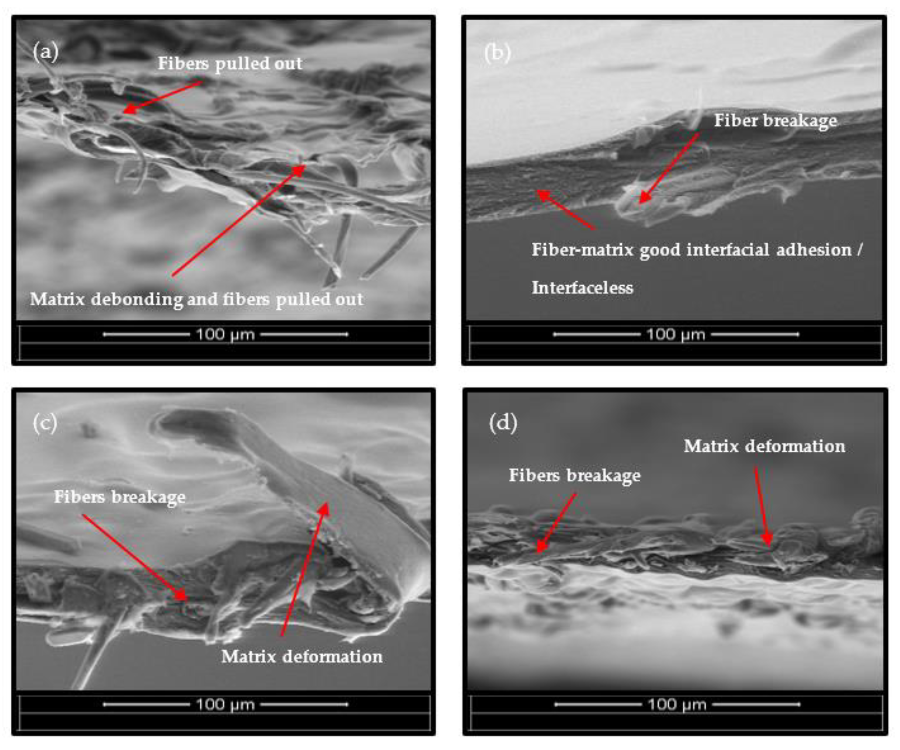 Polymers 15 00691 g008 Polymers 15 00691 g008