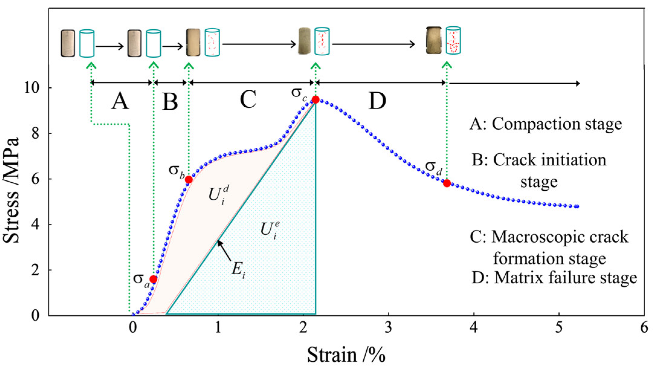 Polymers 15 00700 g013