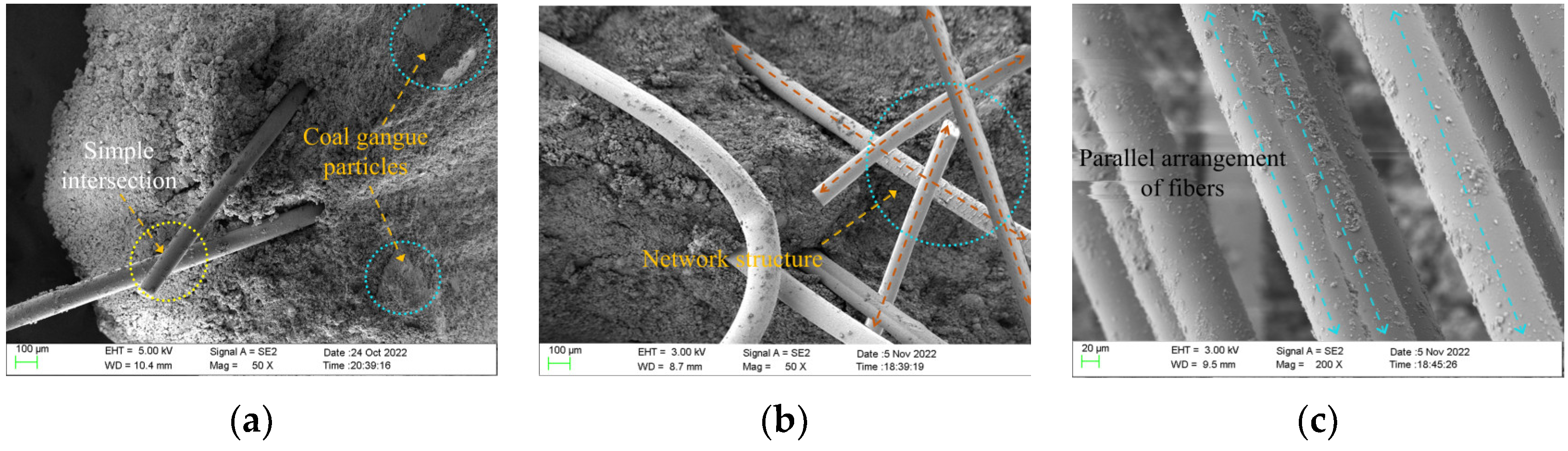 Polymers 15 00700 g014