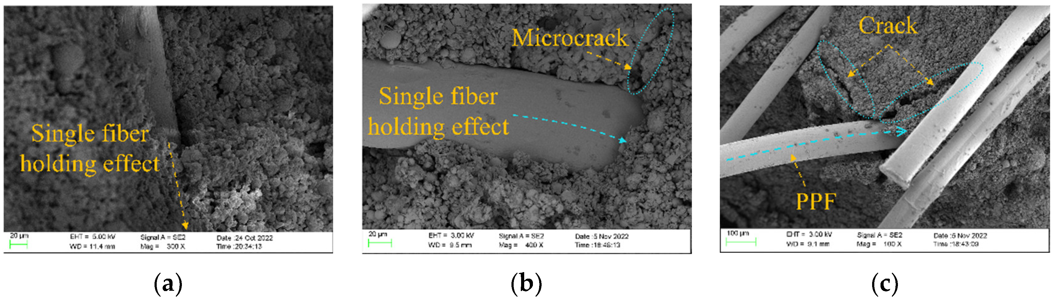 Polymers 15 00700 g017