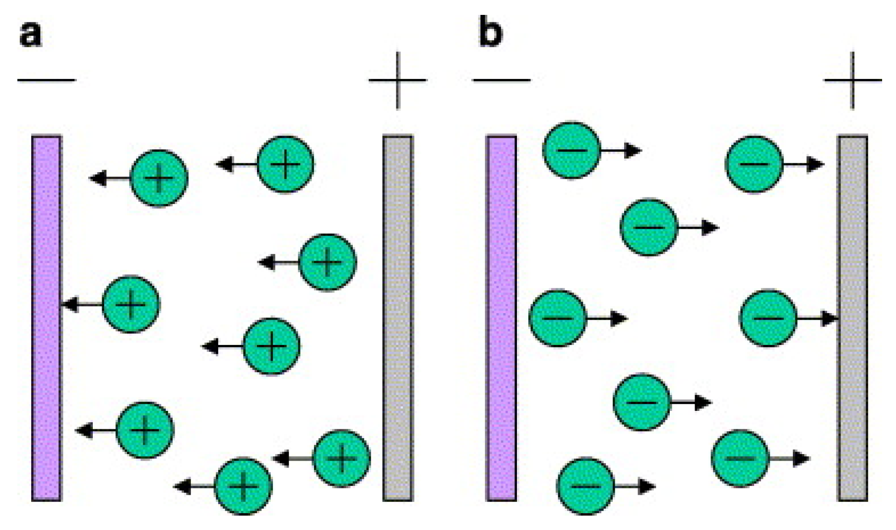 Polymers 15 00712 g003
