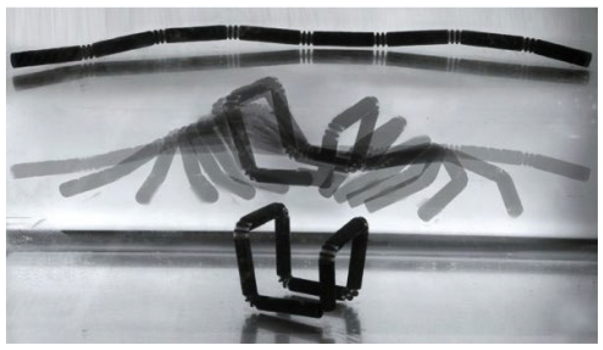 Polymers 15 00712 g008