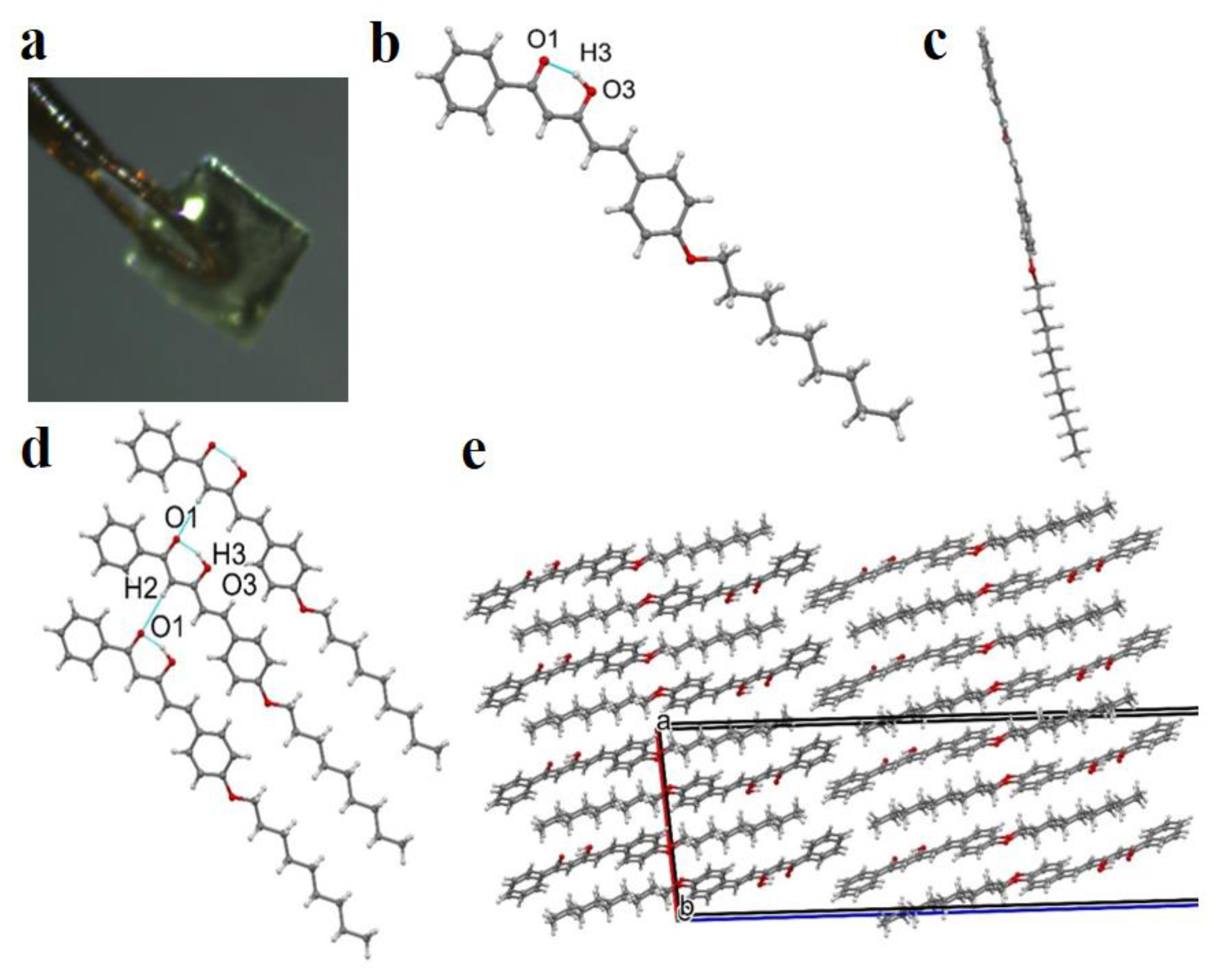 Polymers 15 00714 g001