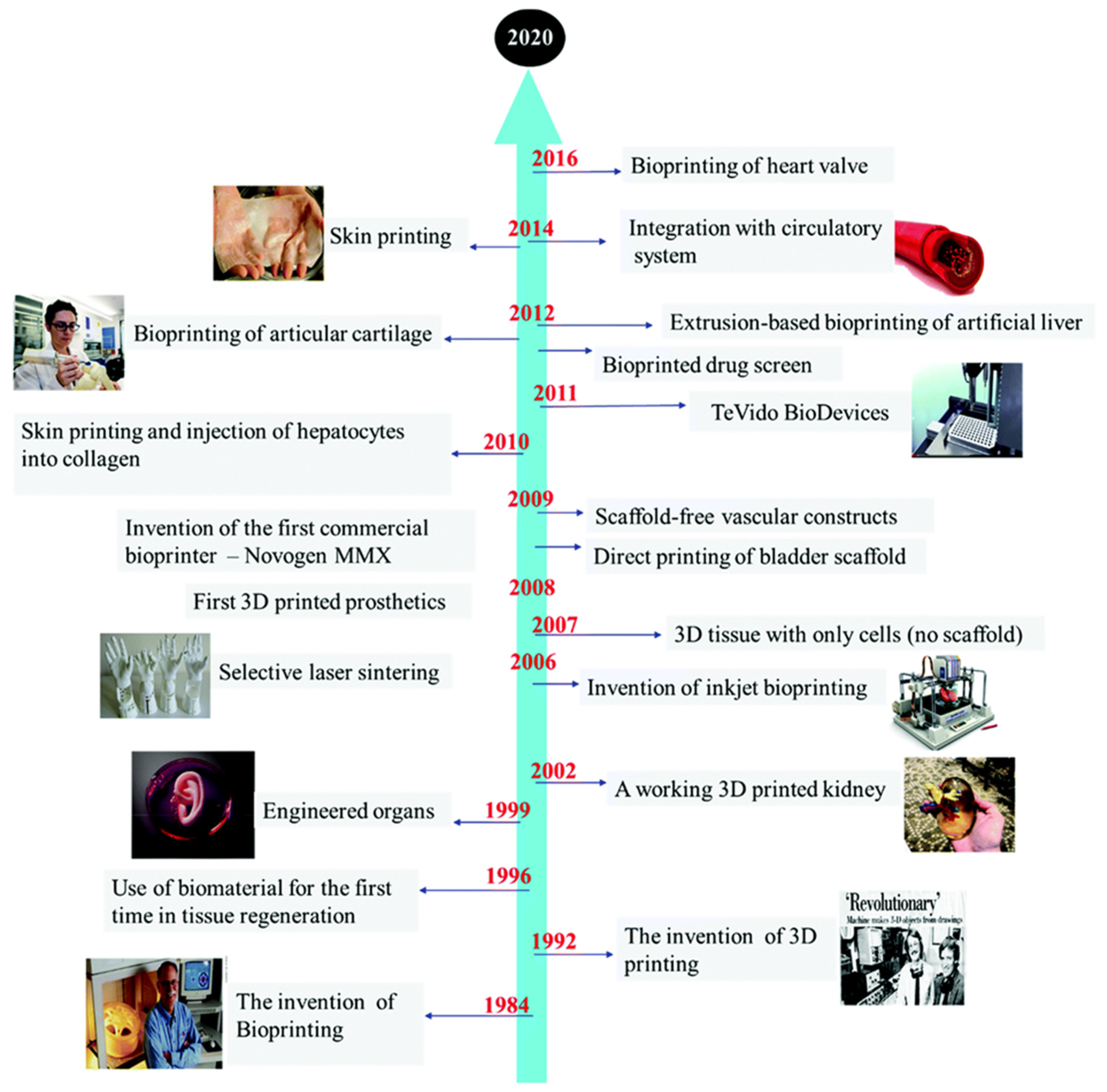 Polymers 15 00716 g003 Polymers 15 00716 g003